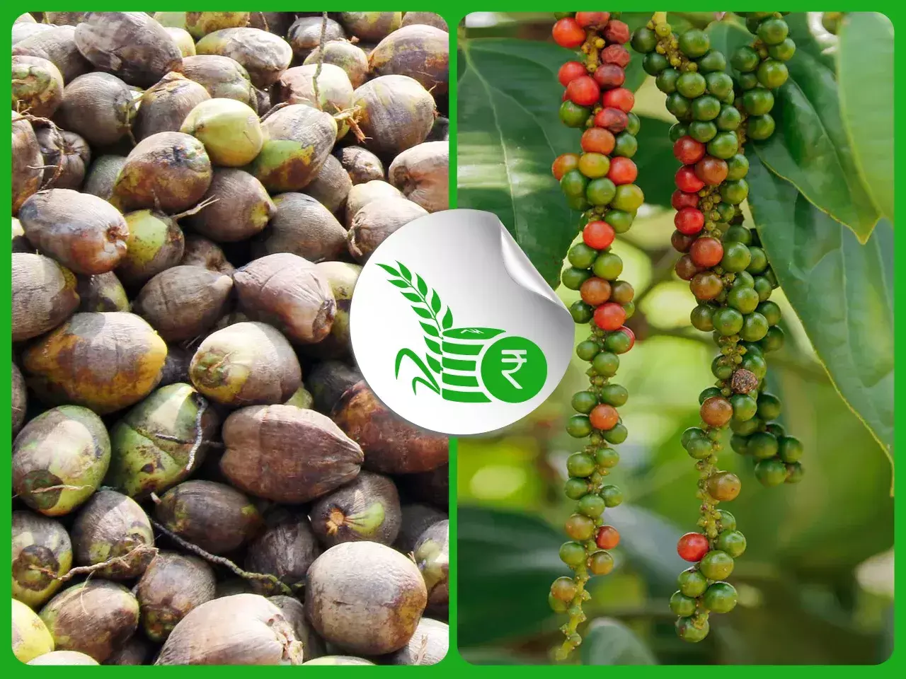 commodities market rate 22 11