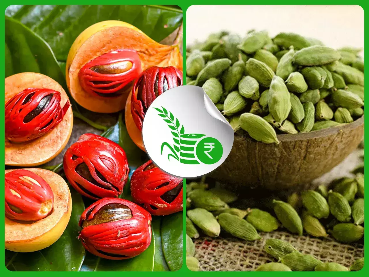 commodities market rate 23 11