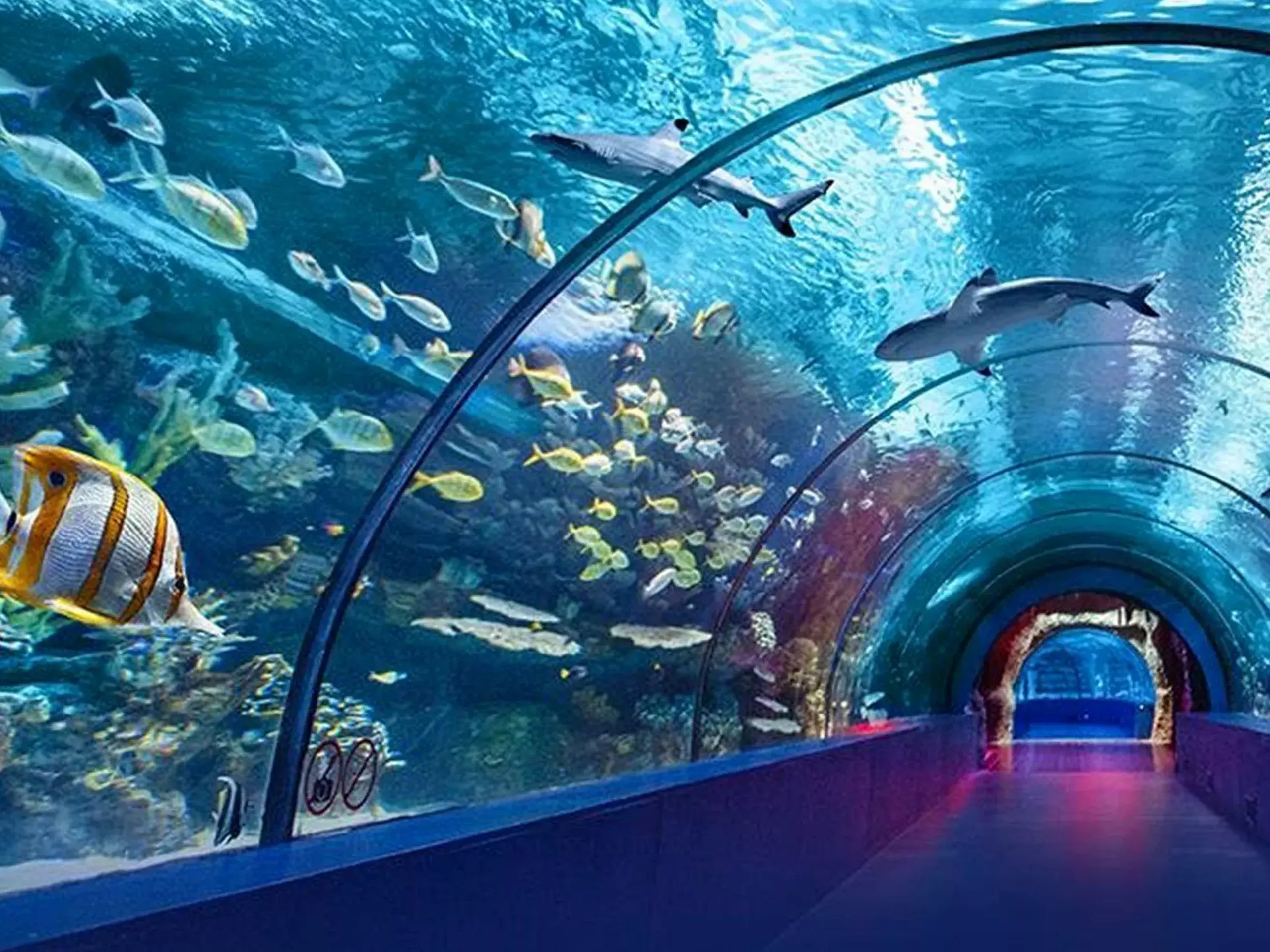 kollam oceanarium and marine museum