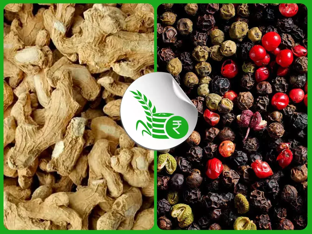 commodities market rate 24 11 23