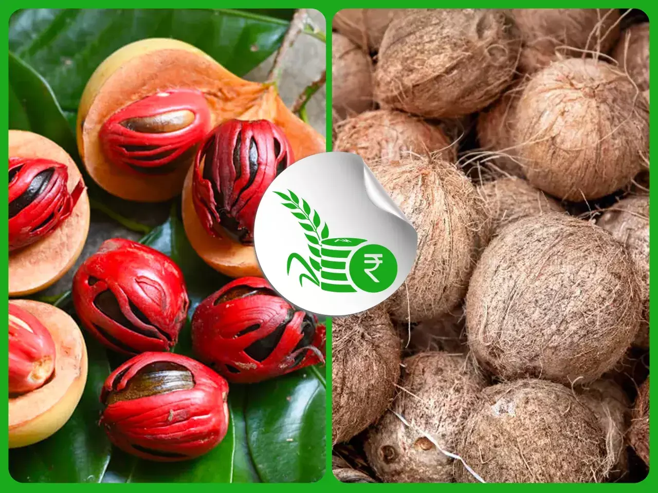 commodities market rate 28 11