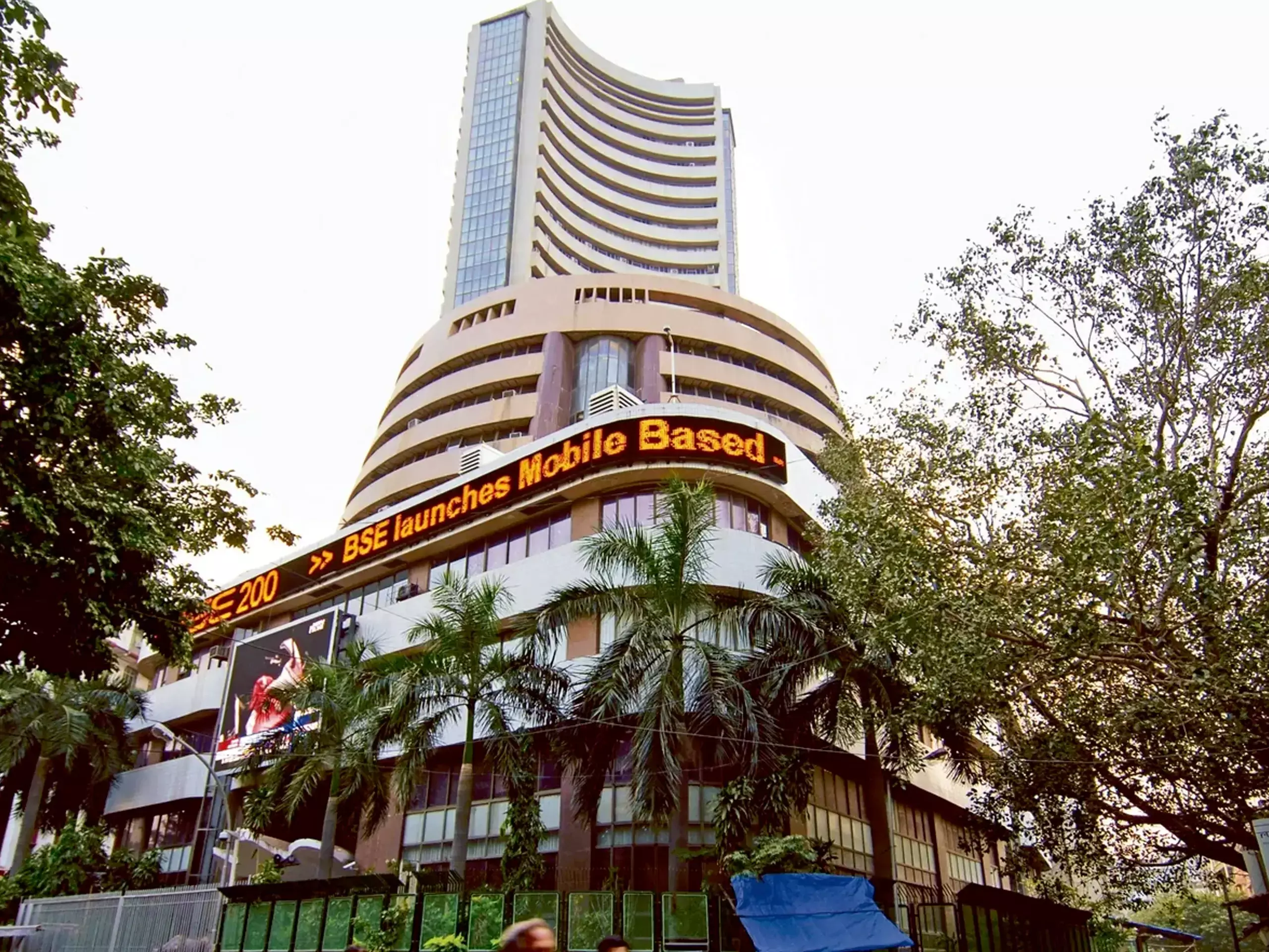 IT shares edged higher as domestic indices gained