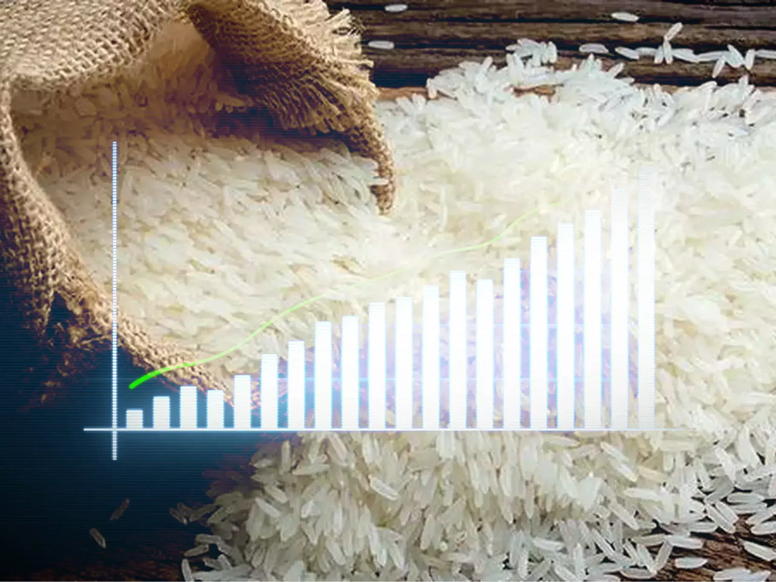 demand in global markets, basmati rice prices are soaring
