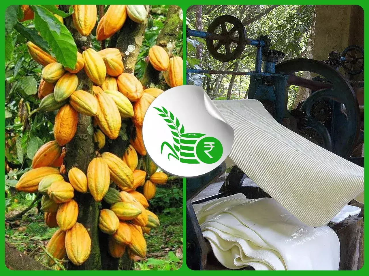 commodities market rate 29 11