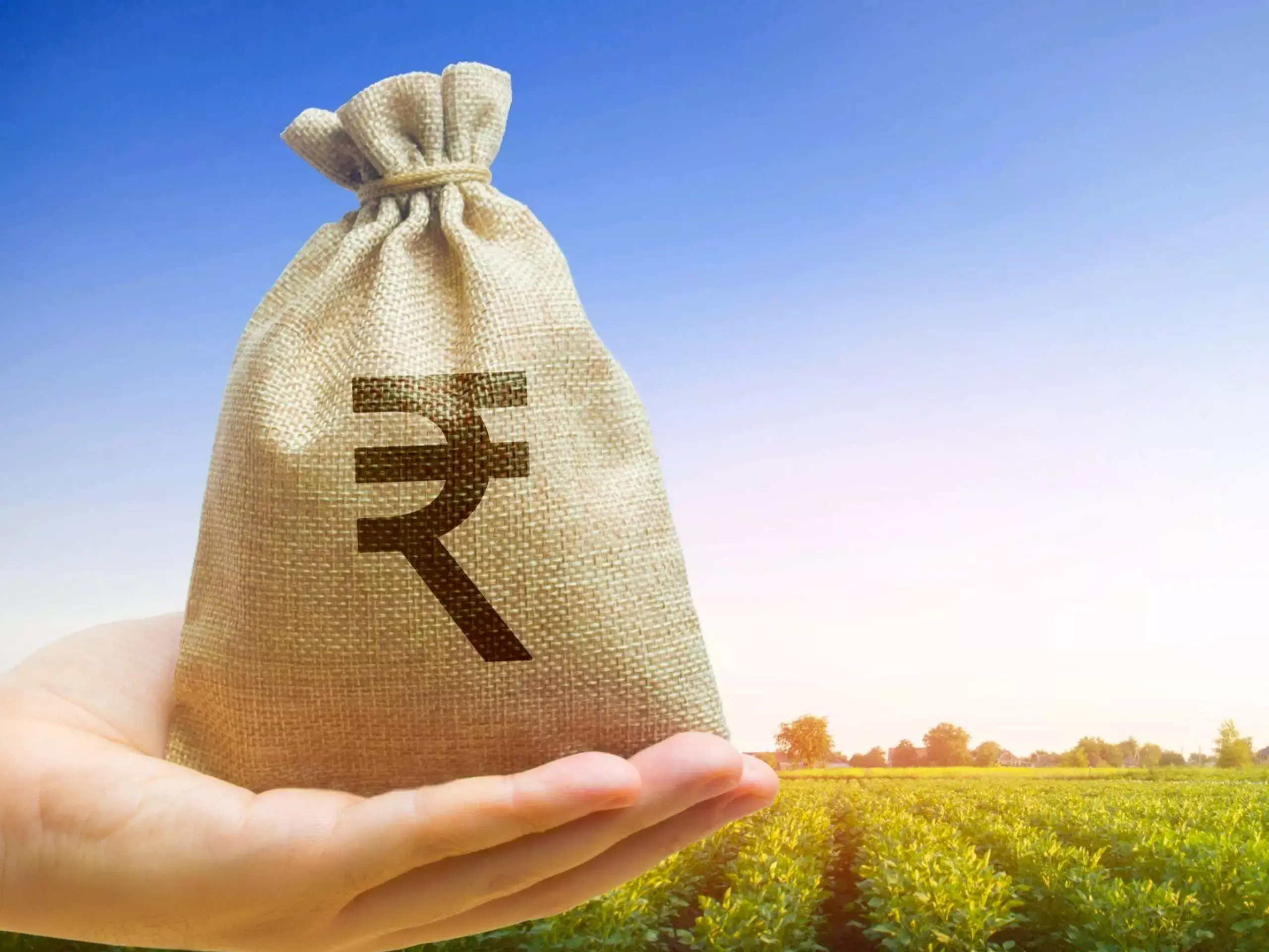 Agriculture sector leads credit, up 17.5% in October web Agriculture sector leads credit, up 17.5% in October fb