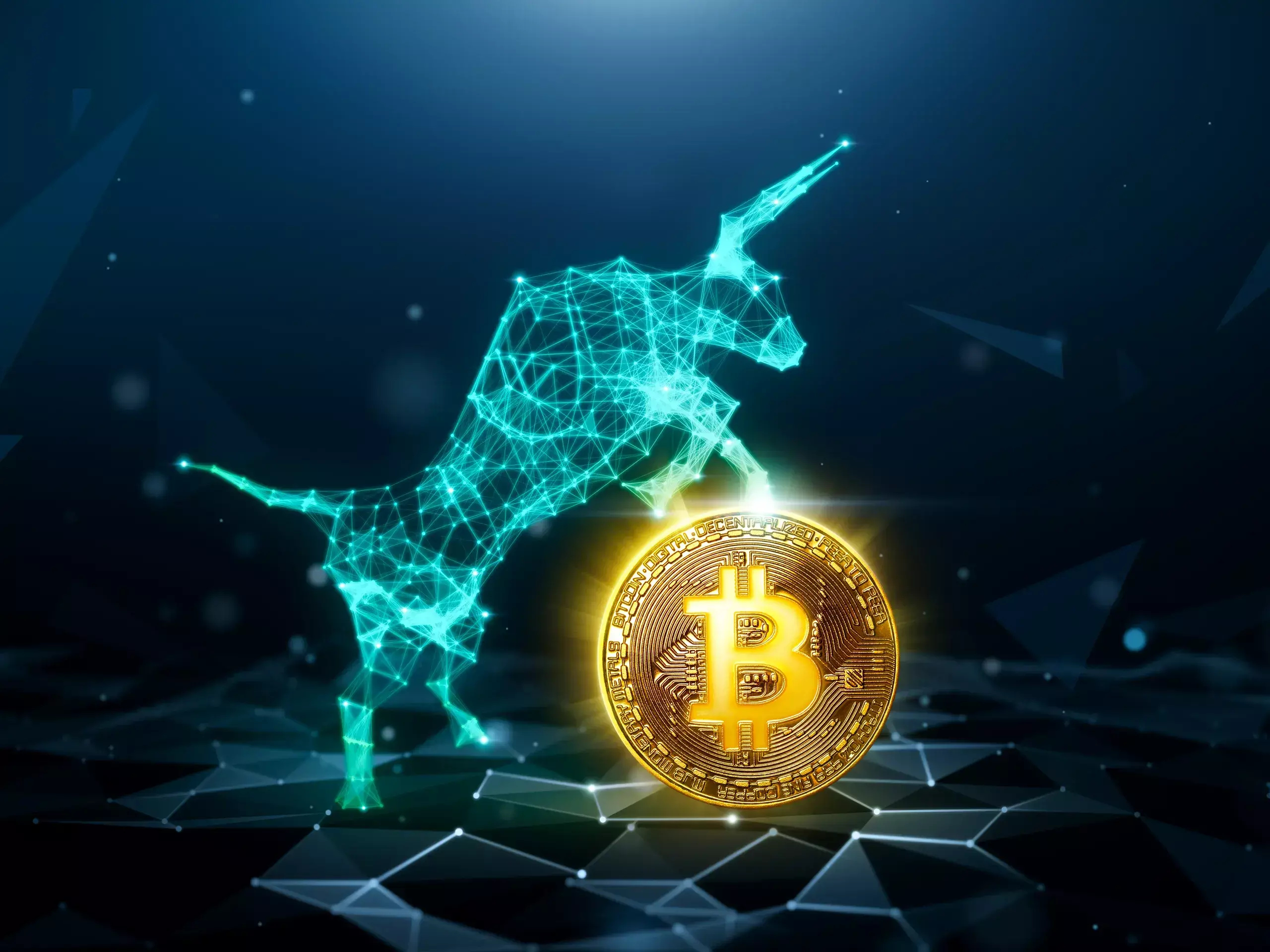 bitcoin with record advance bitcoin with record advance