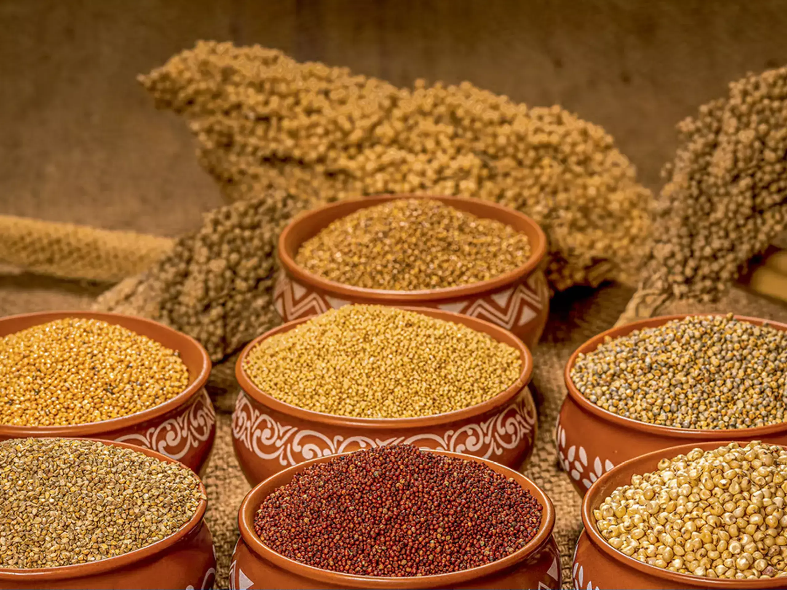 millets lead not only in health but also in price
