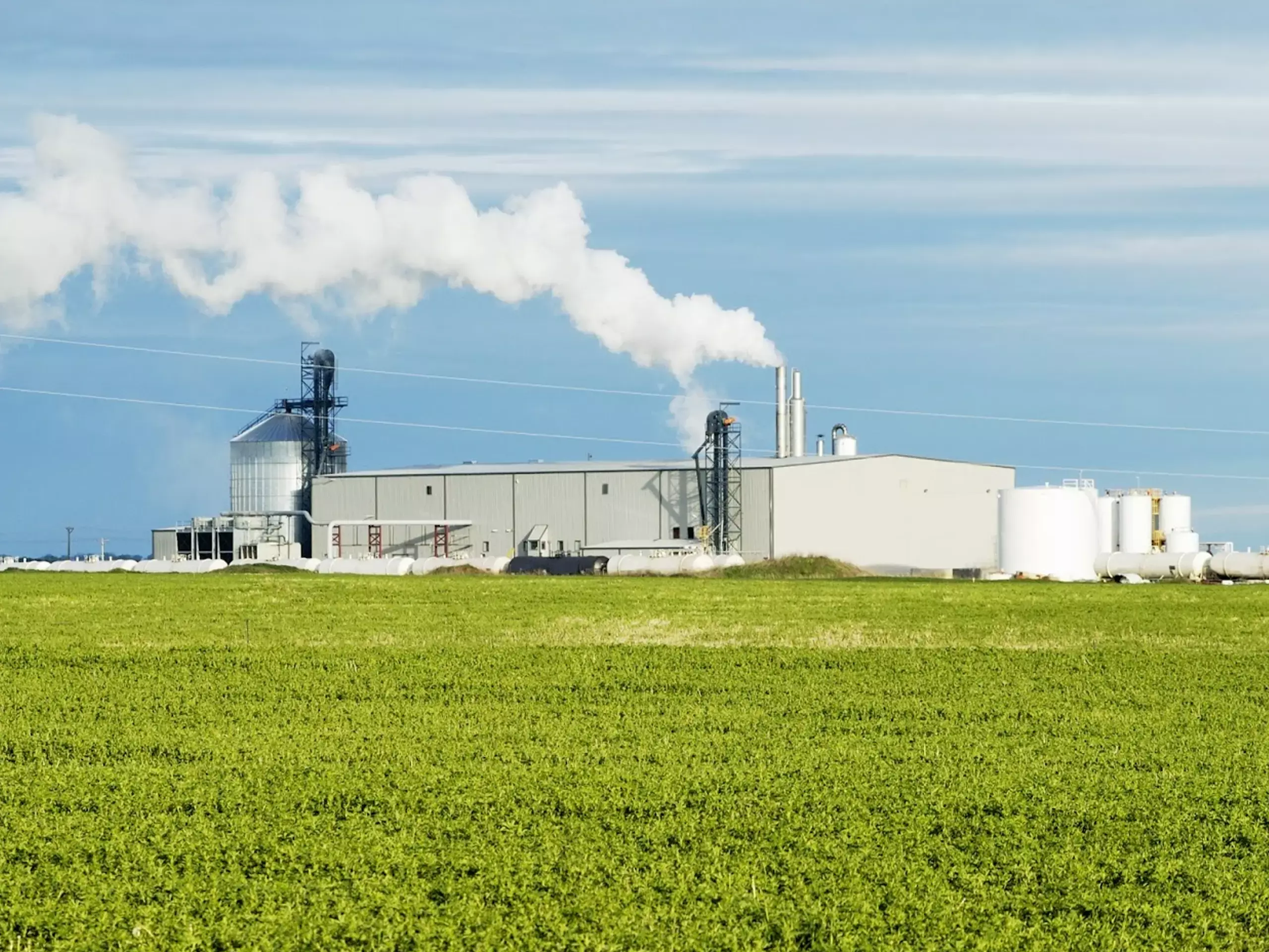 India cuts ethanol production