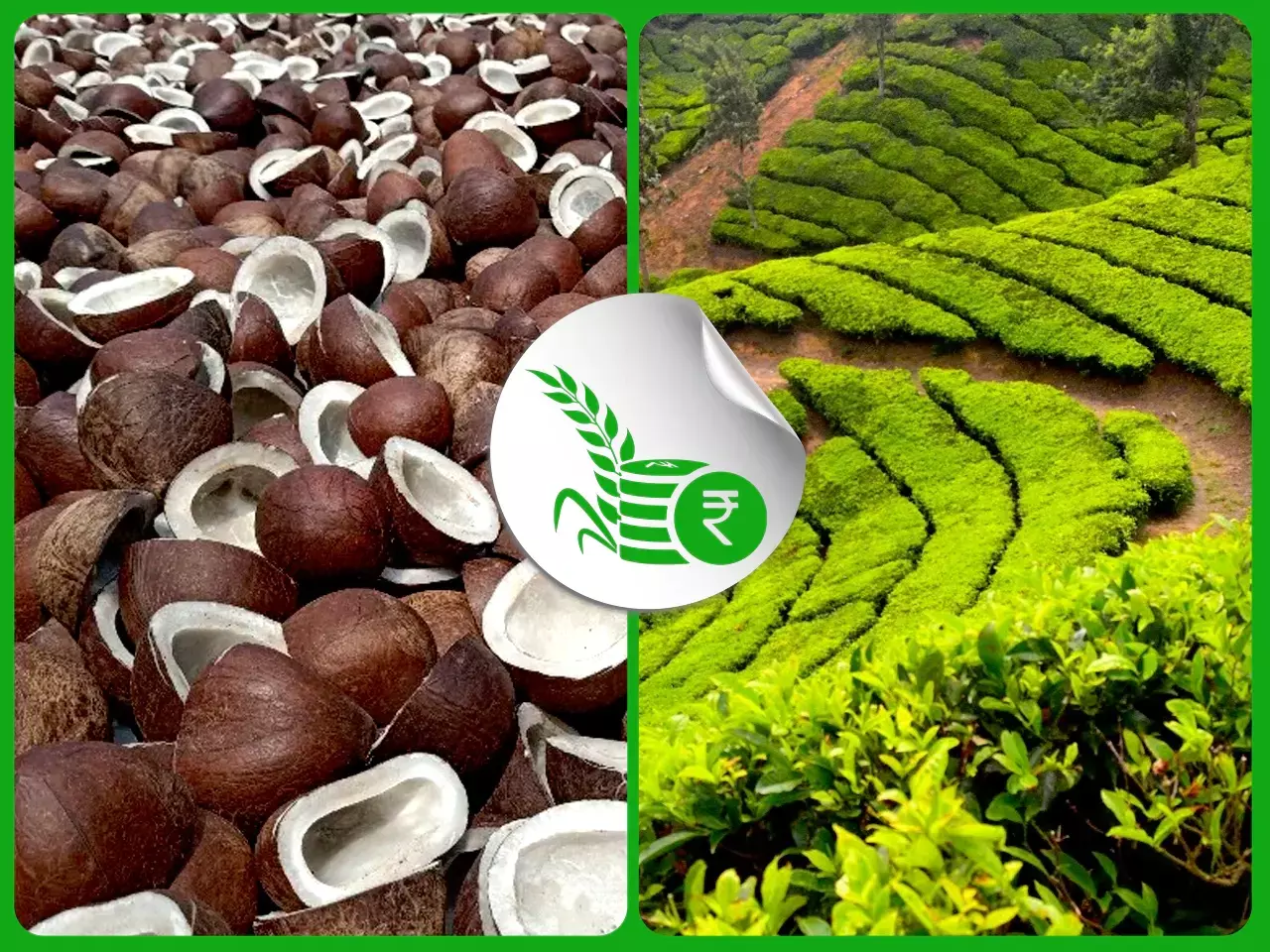 commodities market rate