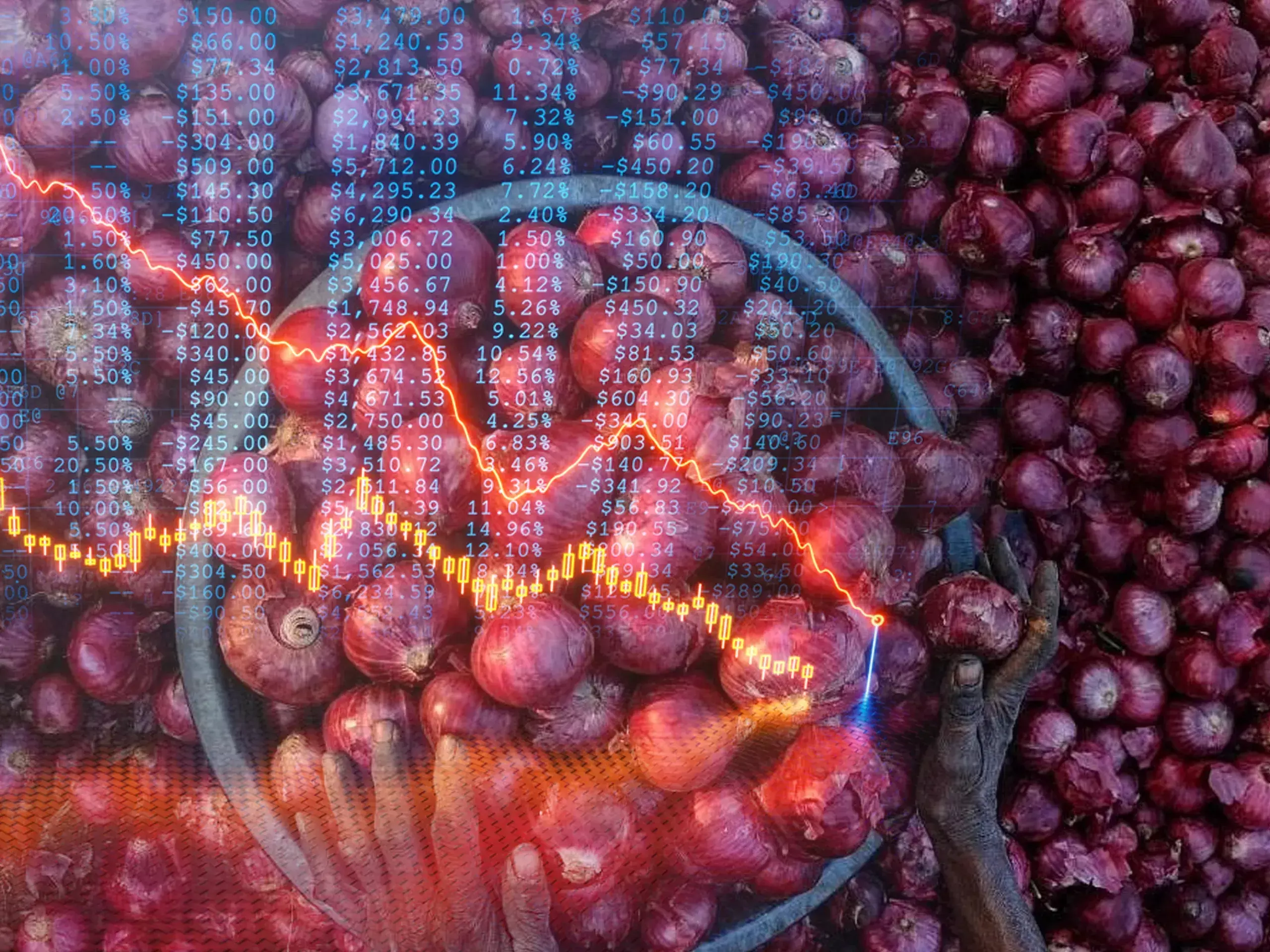 onion prices will fall in january, says the government