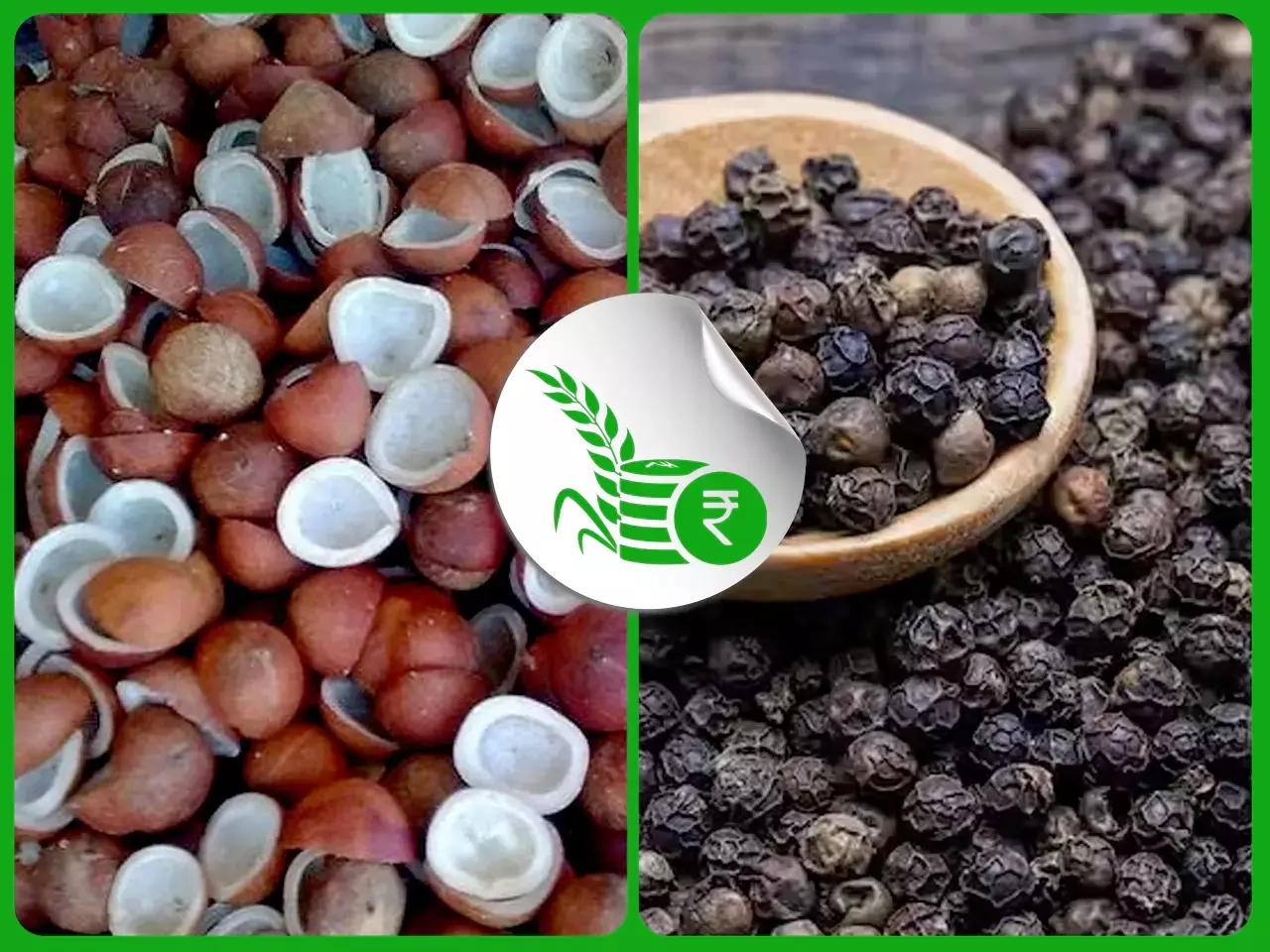 കൊപ്രവില ഇടിയാന്‍ സാധ്യത; ചലനമില്ലാതെ കുരുമുളകുവിപണി