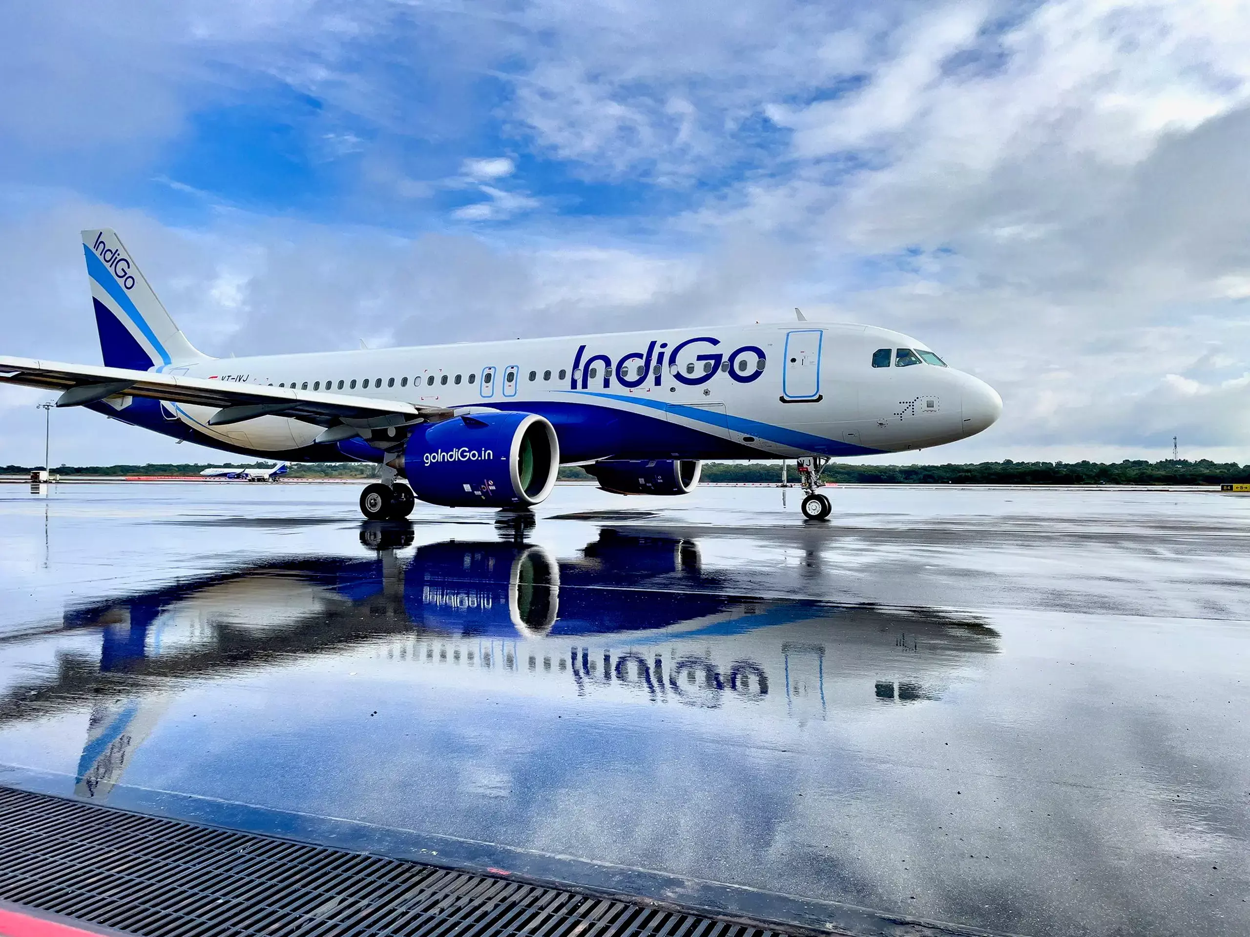M Capil VI Indigo