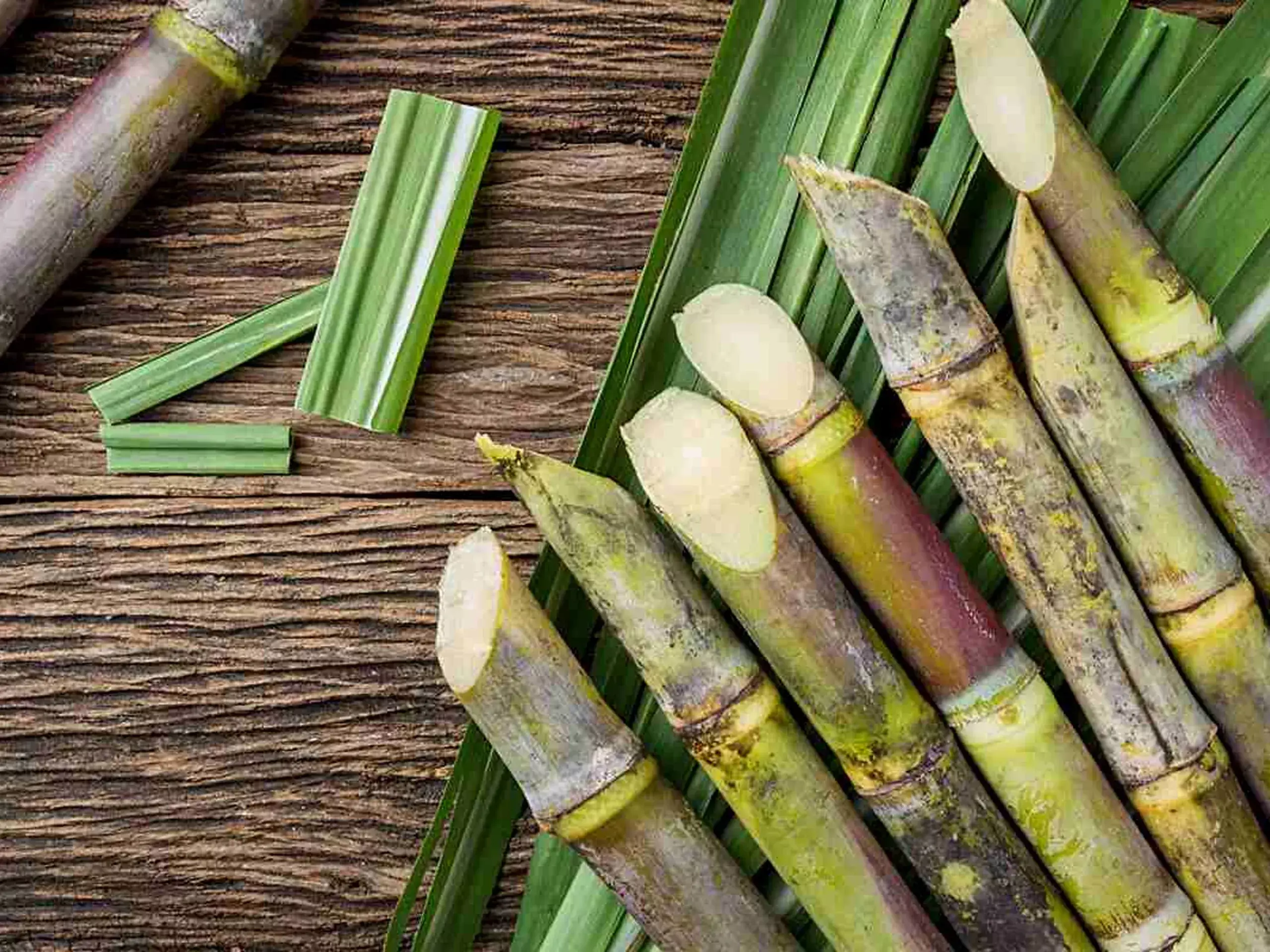 government has lifted the ban on ethanol production from sugarcane