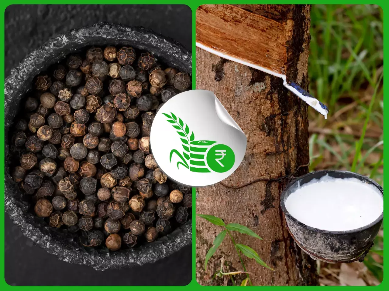 കുരുമുളകില്‍ വിദേശ ആധിപത്യം; തിരിച്ചു വരവിന് ശ്രമിച്ച് റബര്‍