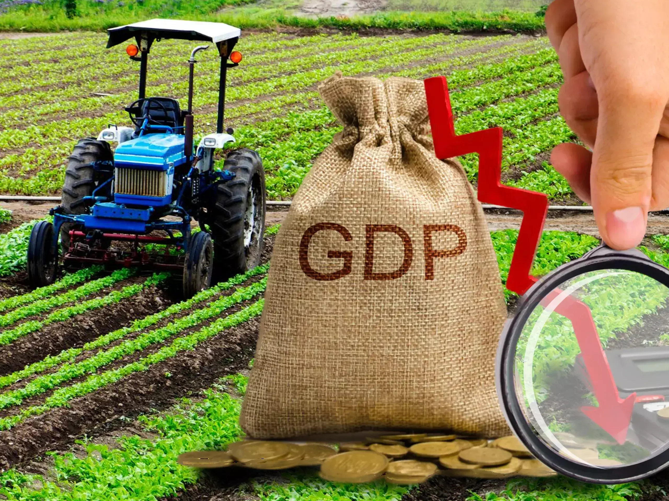 share of agriculture sector dropped to 15 per cent in gdp
