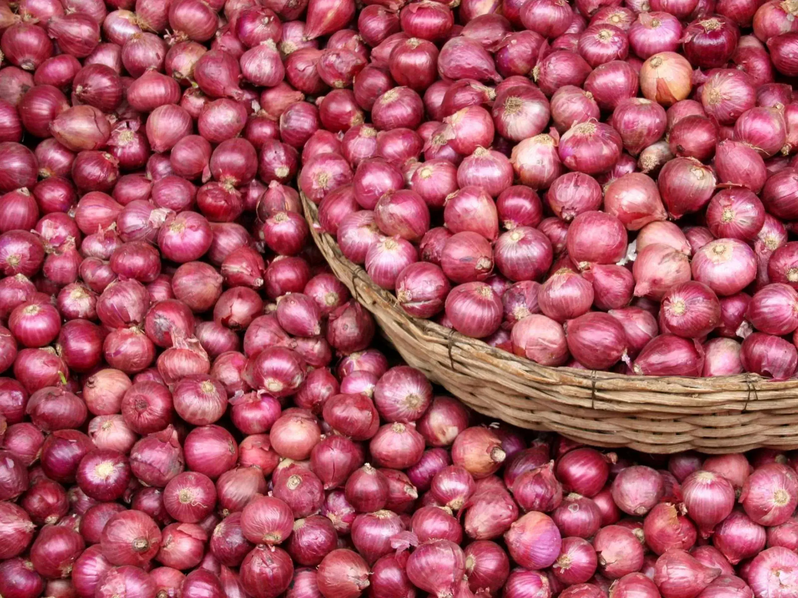 importing countries in asia hit by Indias onion export ban