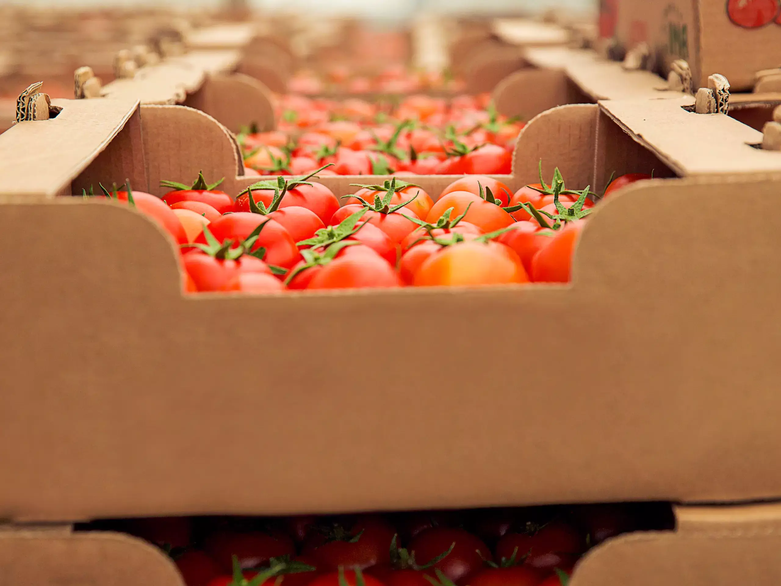 Agricultural exports will drop by $4 billion