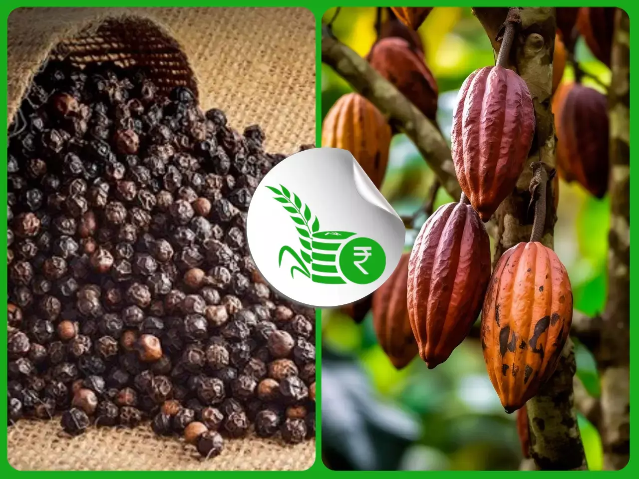 commodities market rate 21-12 web