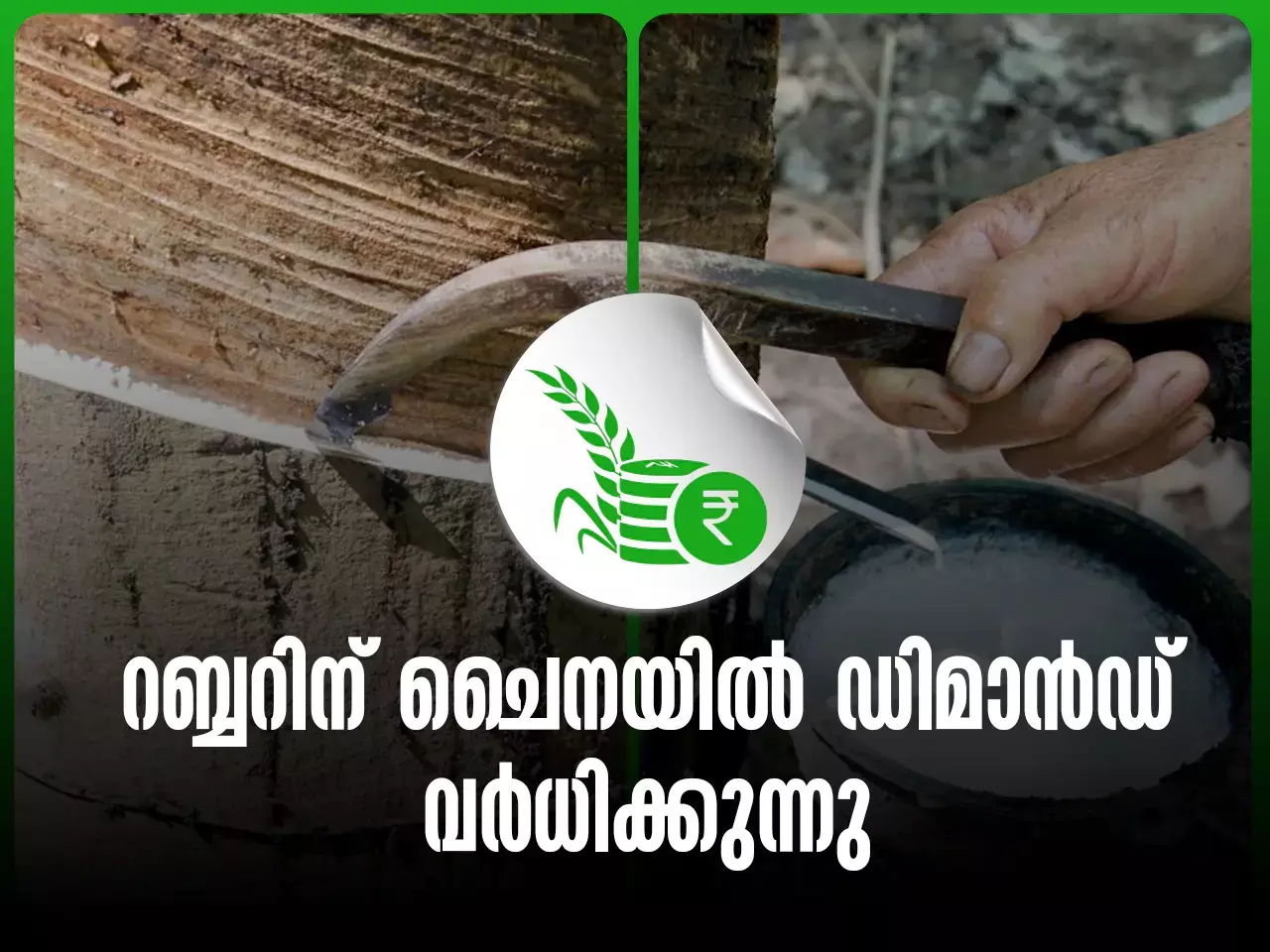 റബ്ബറിന് ചൈനയിൽ ഡിമാൻഡ് വർധിക്കുന്നു