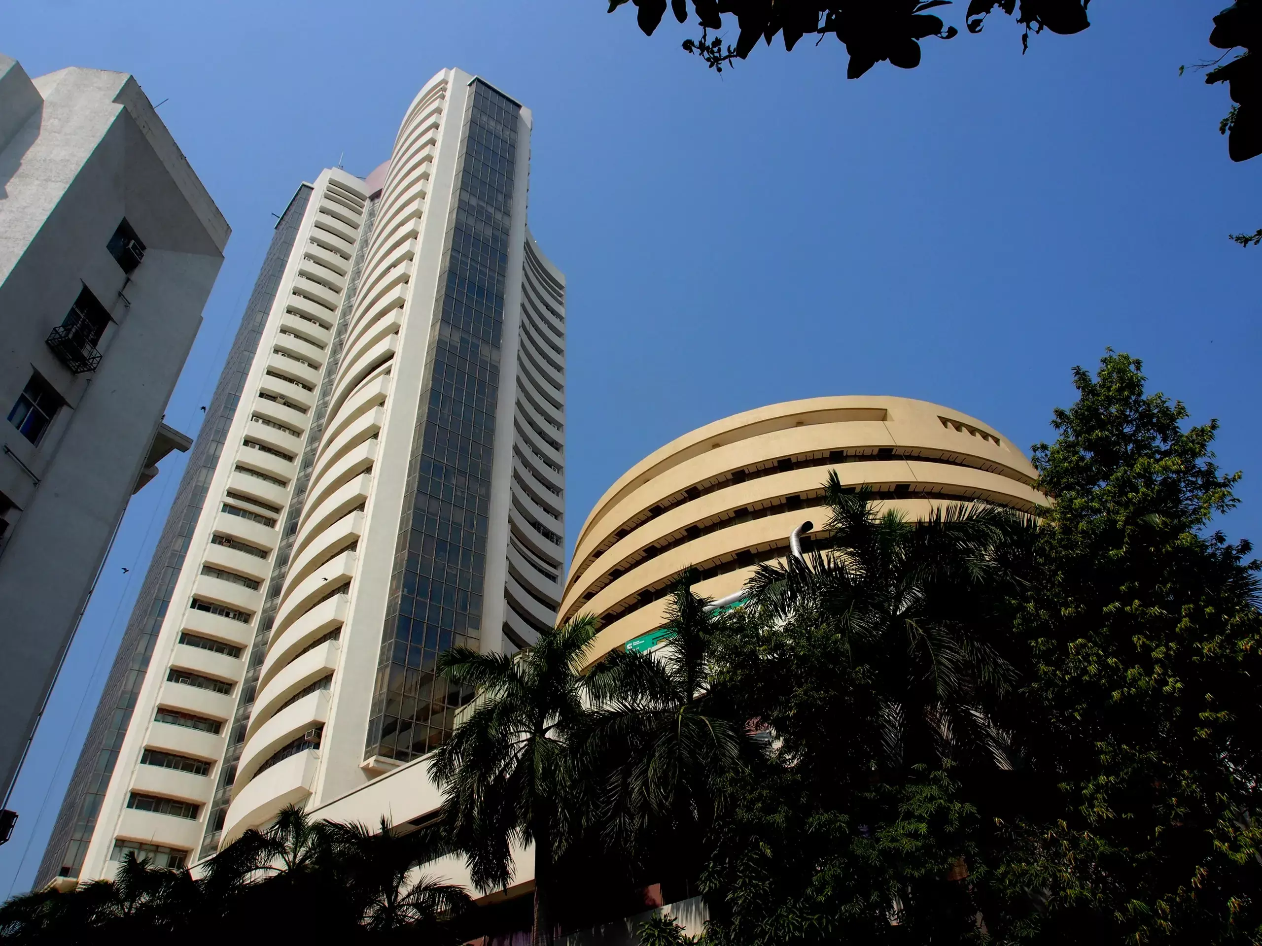 Rally in stocks of investors registered in shares