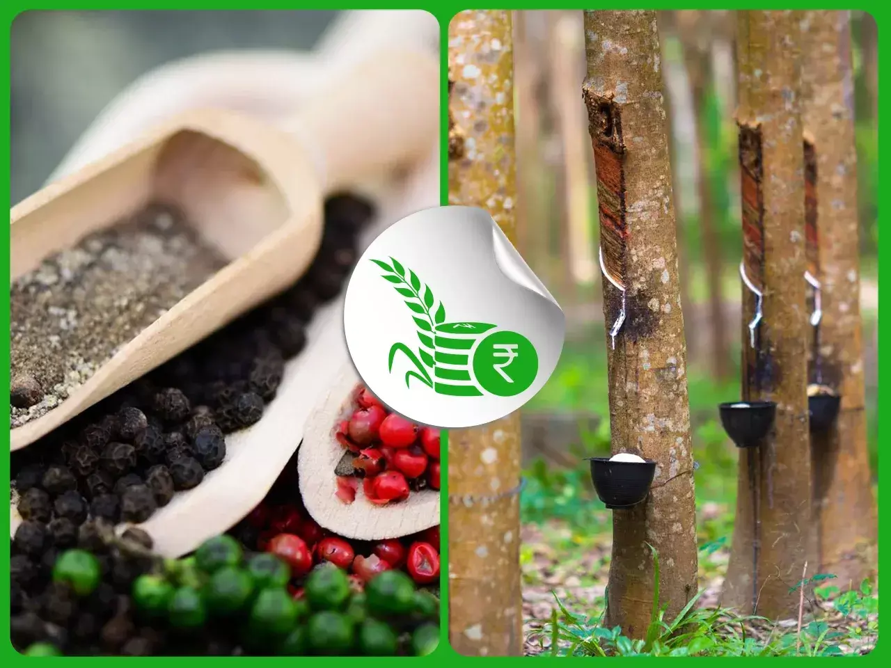 commodities market rate 01 01 24