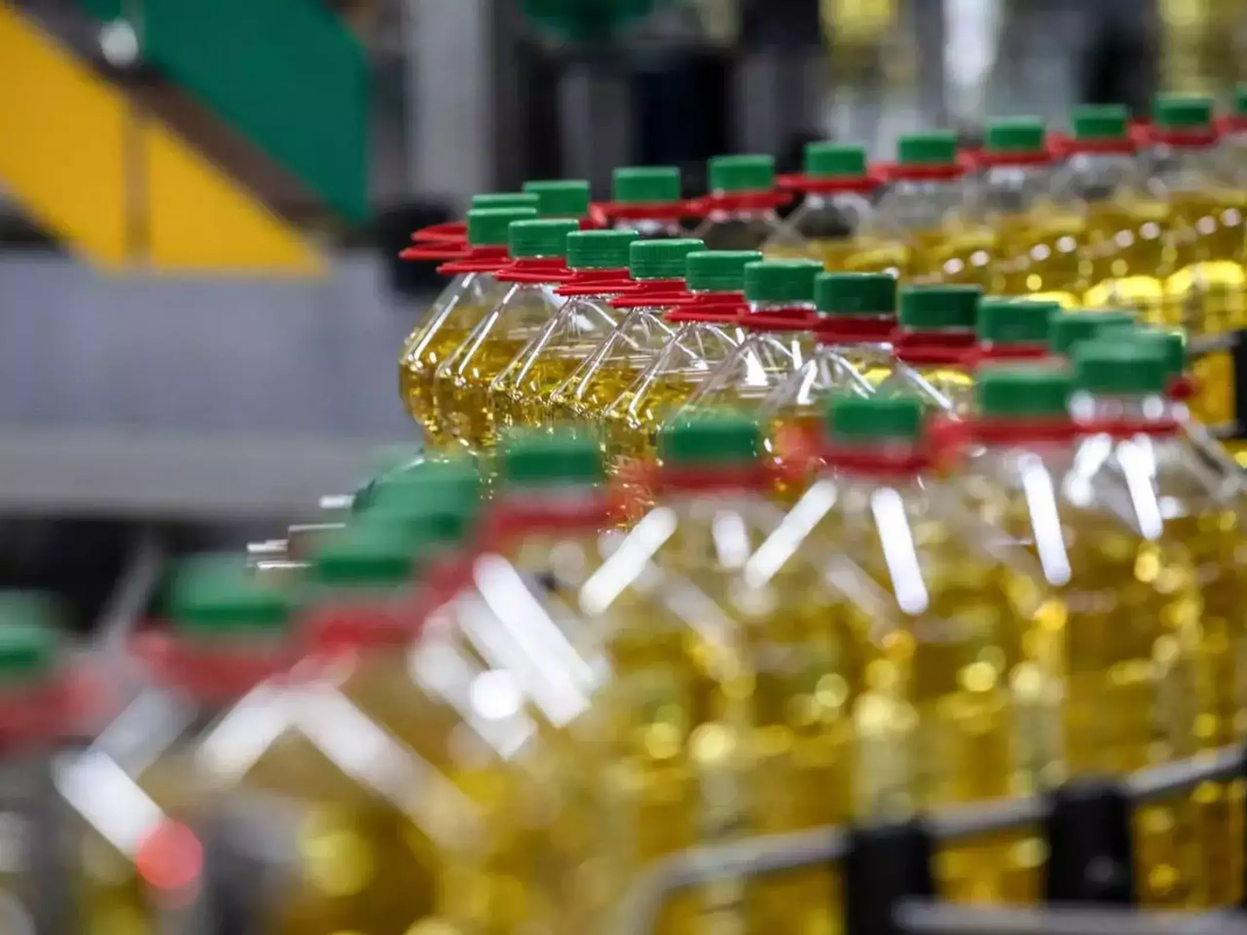 imports of vegetable oils have increased