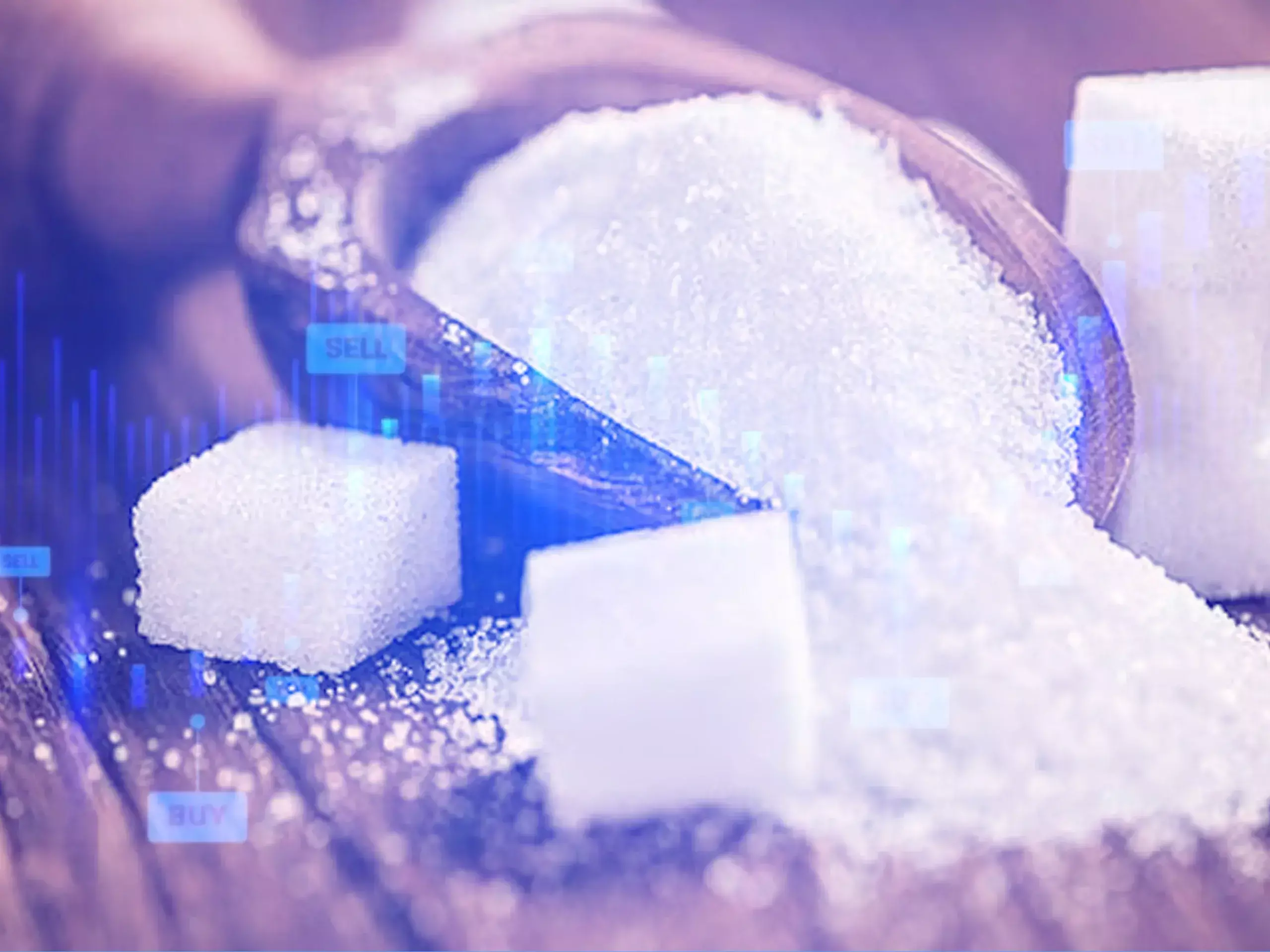 sugar stakes share hike