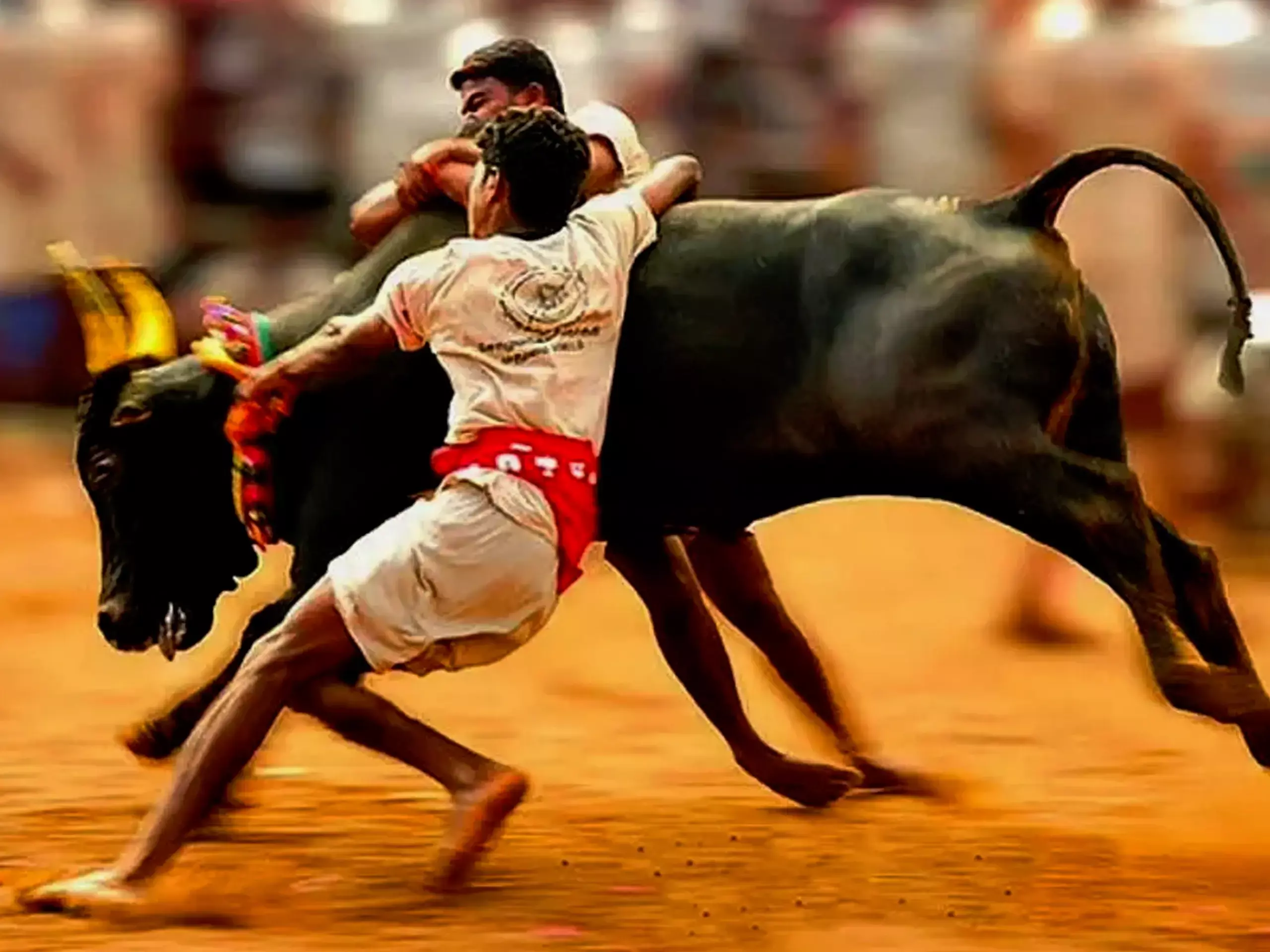 ജെല്ലിക്കെട്ട് ഇനി ശ്രീലങ്കയിലും