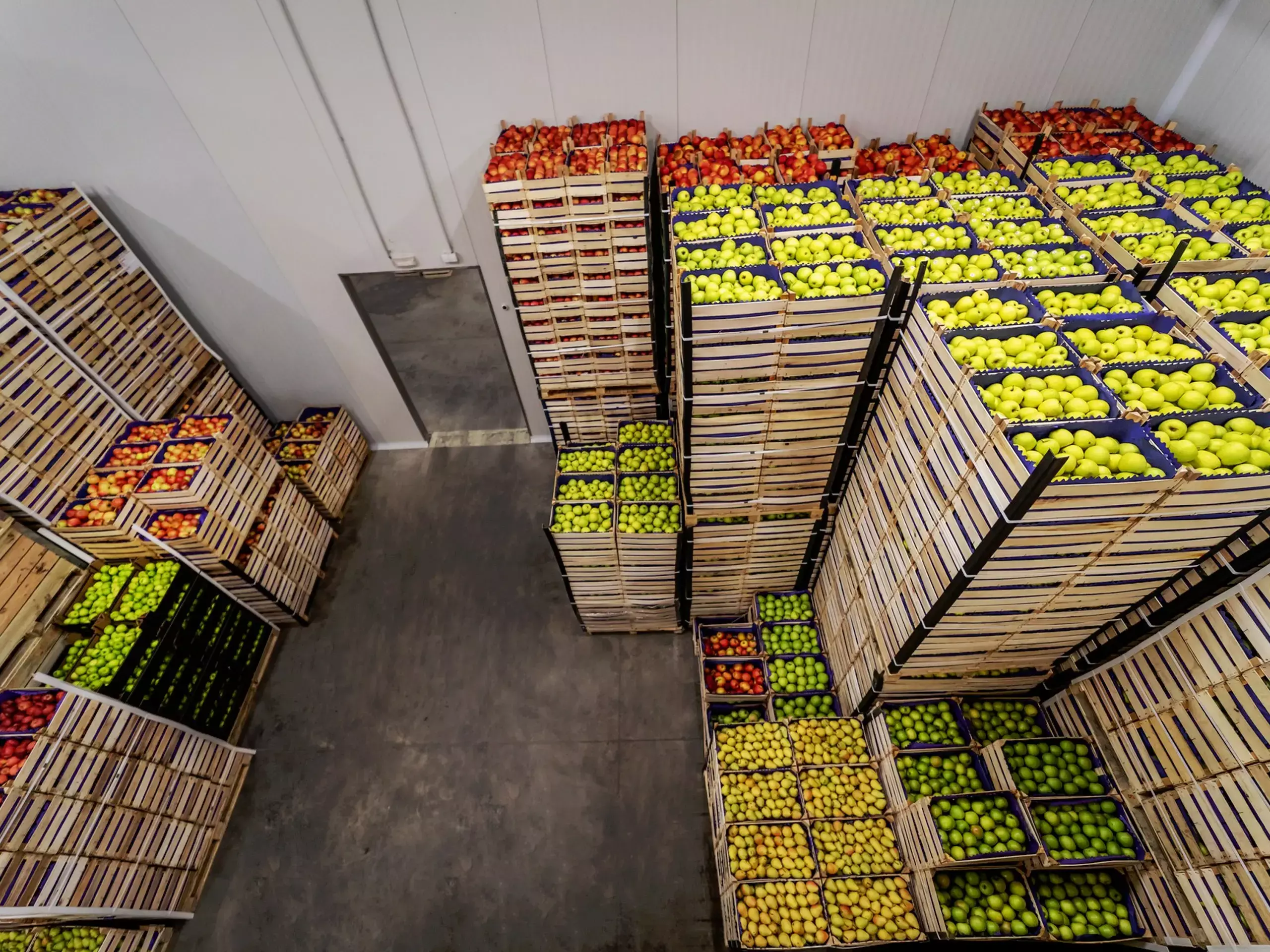 Agricultural exports will rise to $100 billion