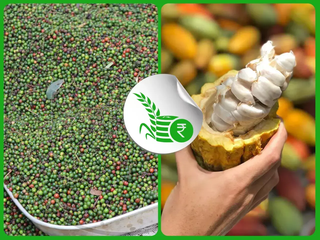 commodities market rate 08 01 24