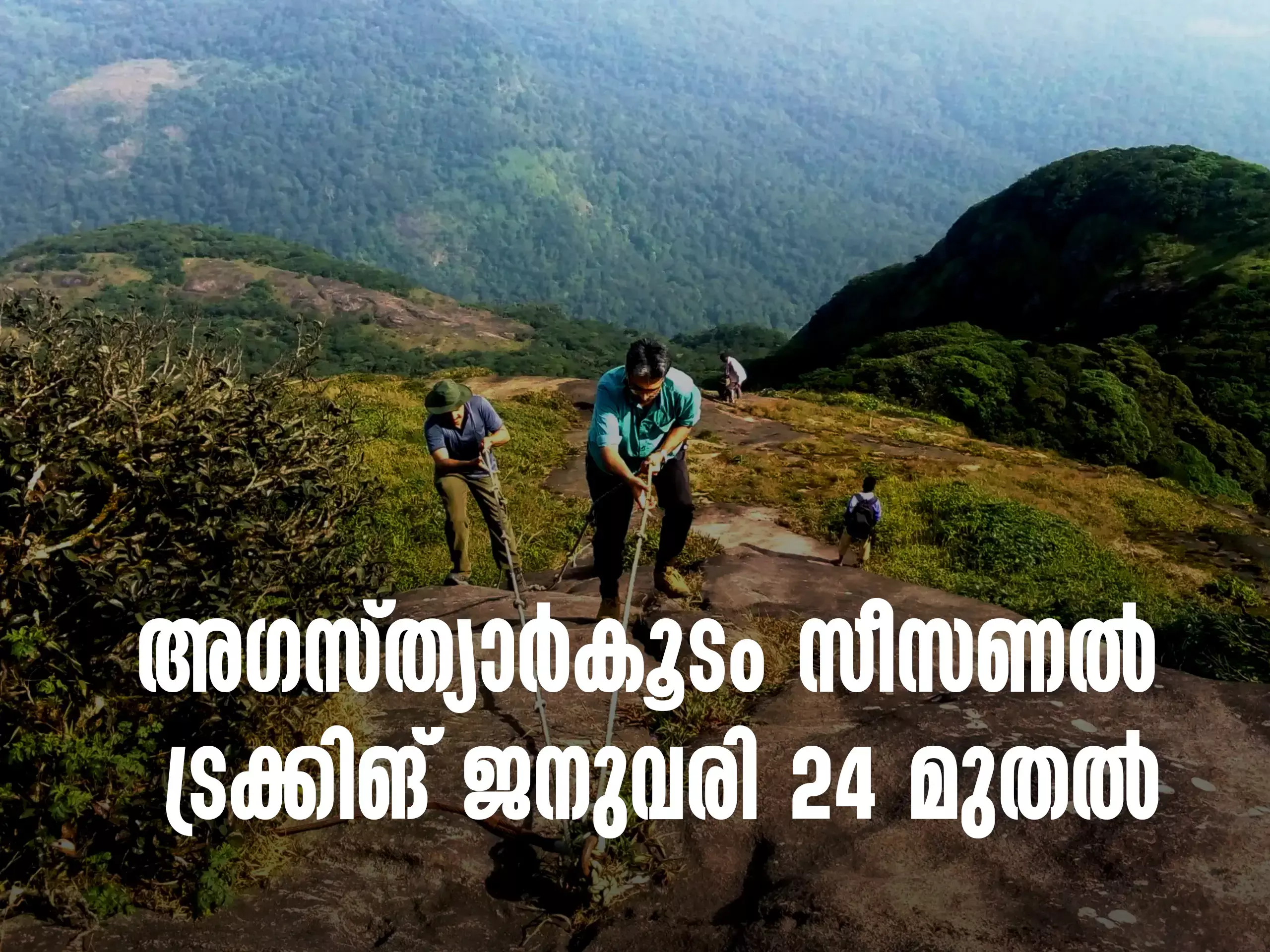 Agastyarkootam Seasonal Trekking from 24th January