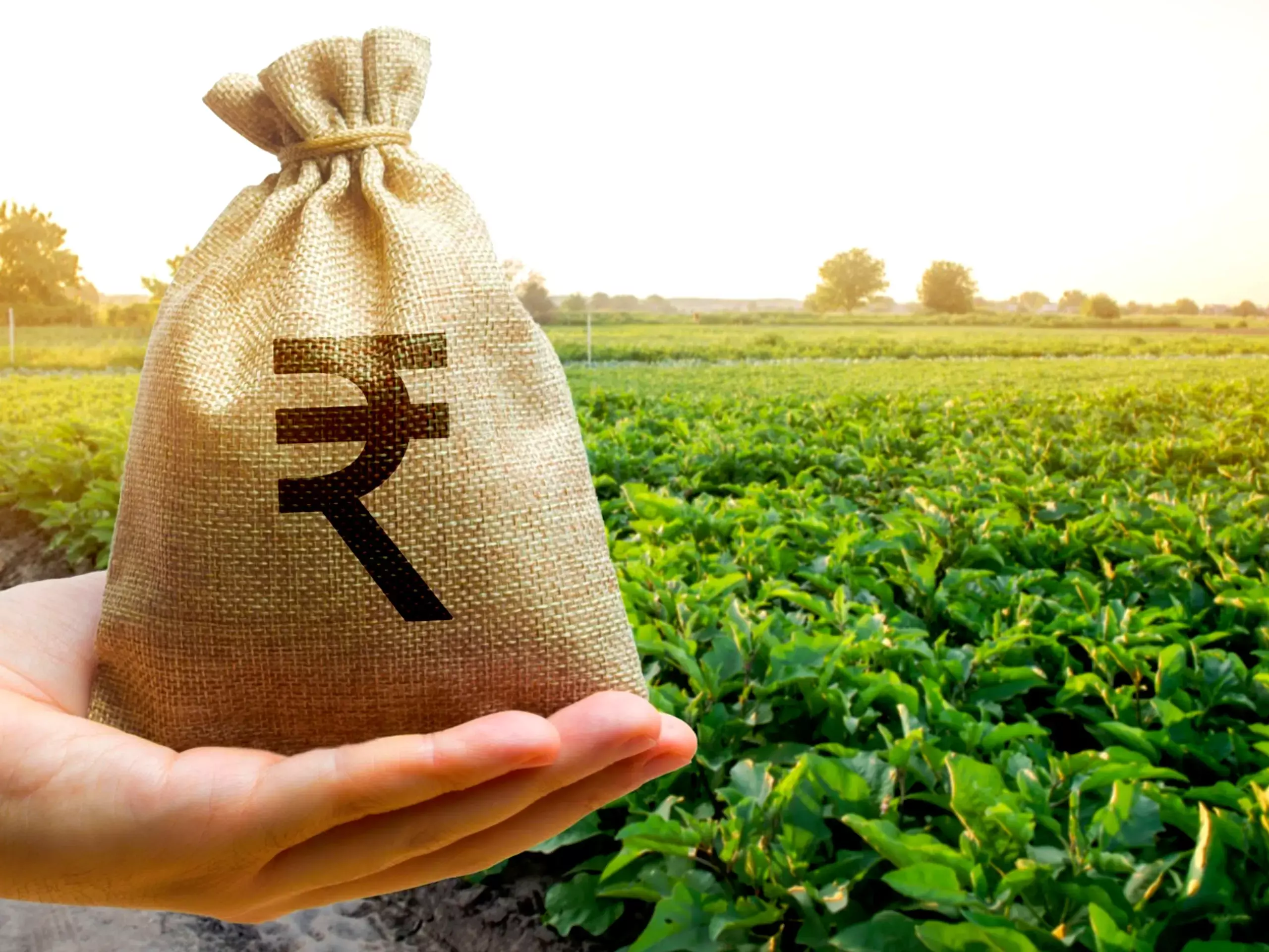 2350 കോടിയുടെ കാര്‍ഷിക കാലാവസ്ഥാ പ്രതിരോധ പദ്ധതിക്ക് മന്ത്രിസഭ  അനുമതി