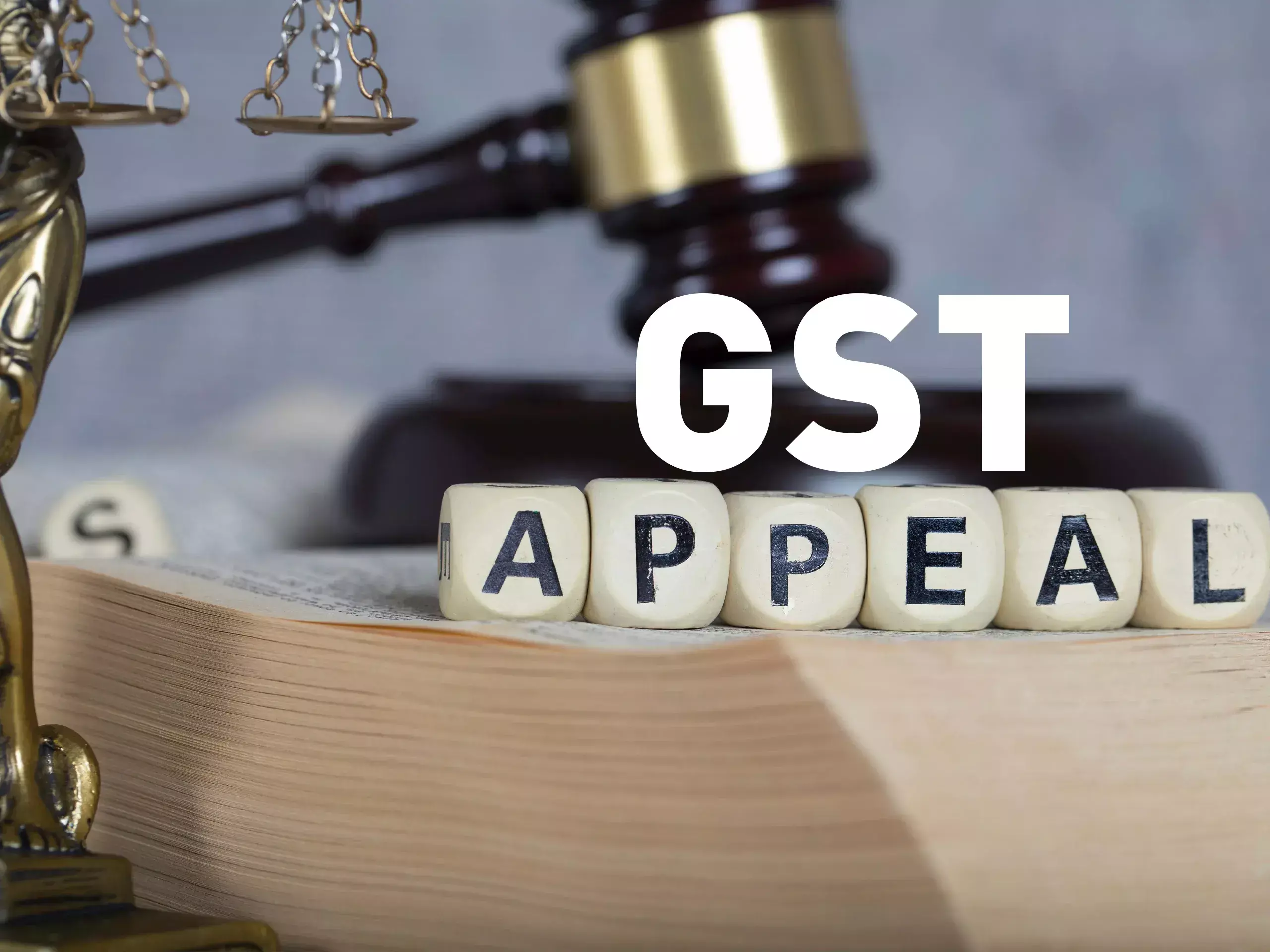 amnesty scheme to file gst appeal till january 31 amnesty scheme to file gst appeal till january 31