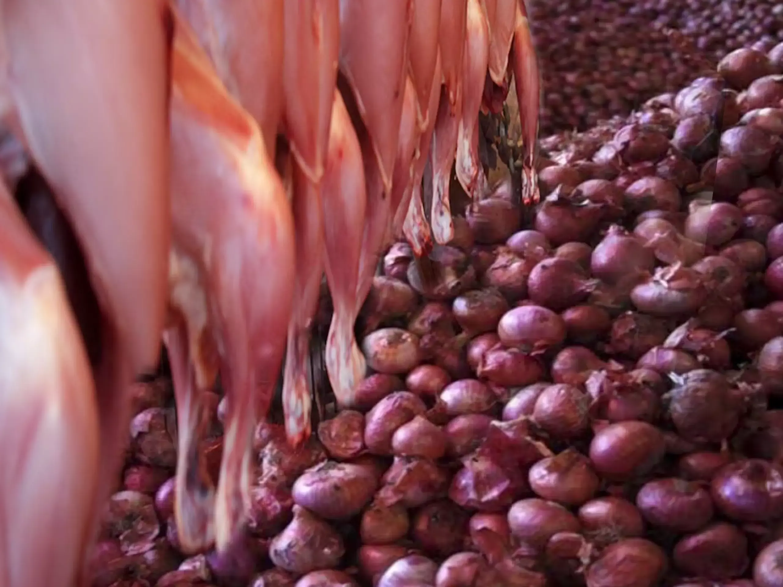 615 rupees for 1 kg chicken, 250 rupees for 1 kg onion, Pakistan in financial crisis