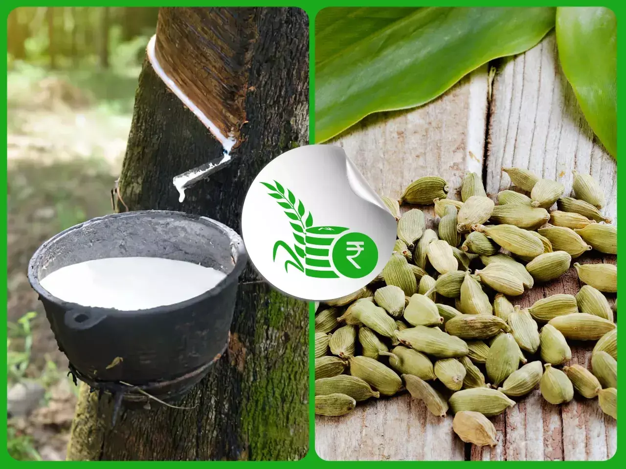 commodities market rate 17 01 24