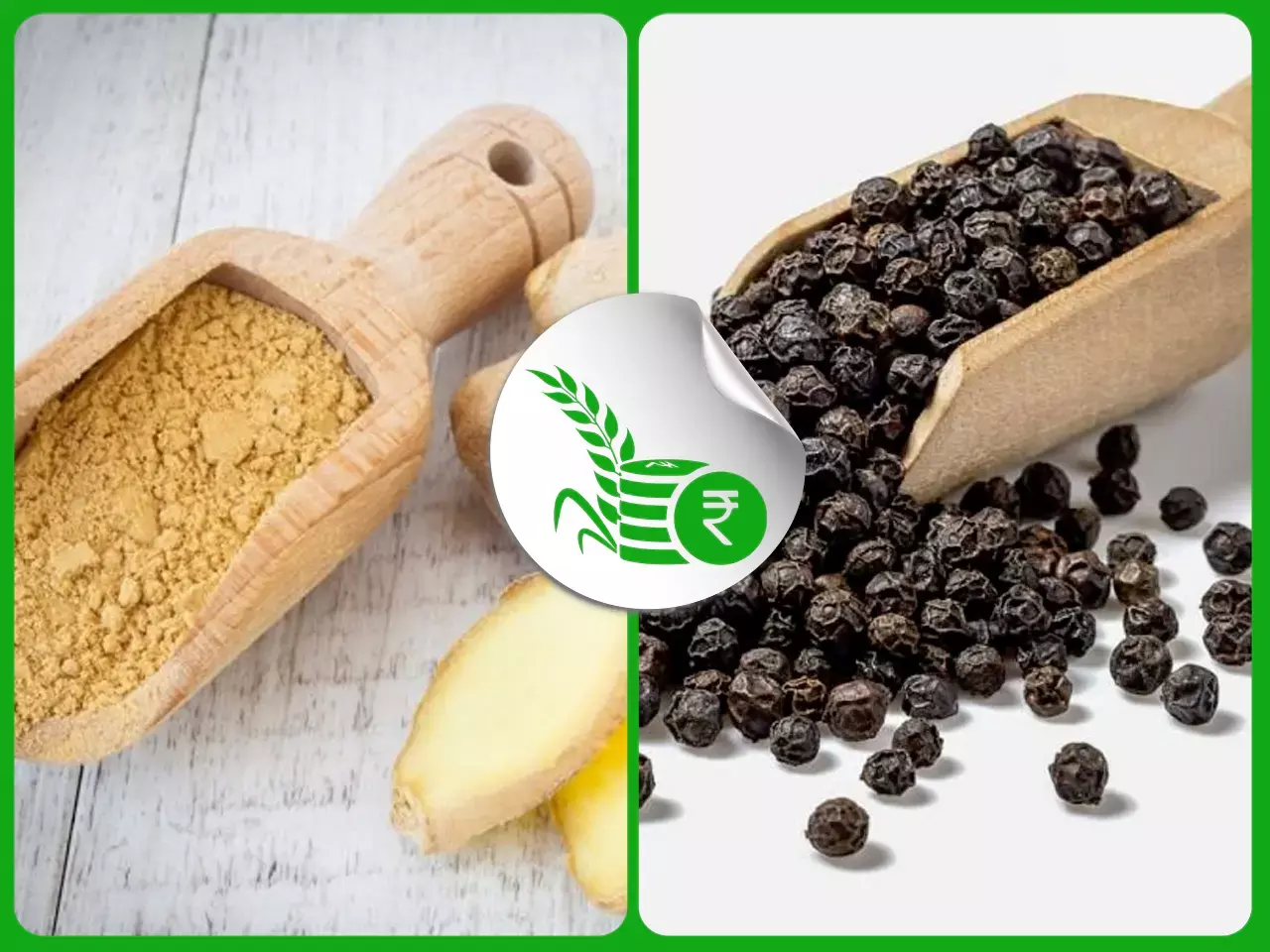 ചുക്ക് ഡിമാന്റ് ഉടന്‍ കുറയില്ല; വില്‍പ്പന മുന്നേറ്റം പ്രതീക്ഷിച്ച് കുരുമുളക്