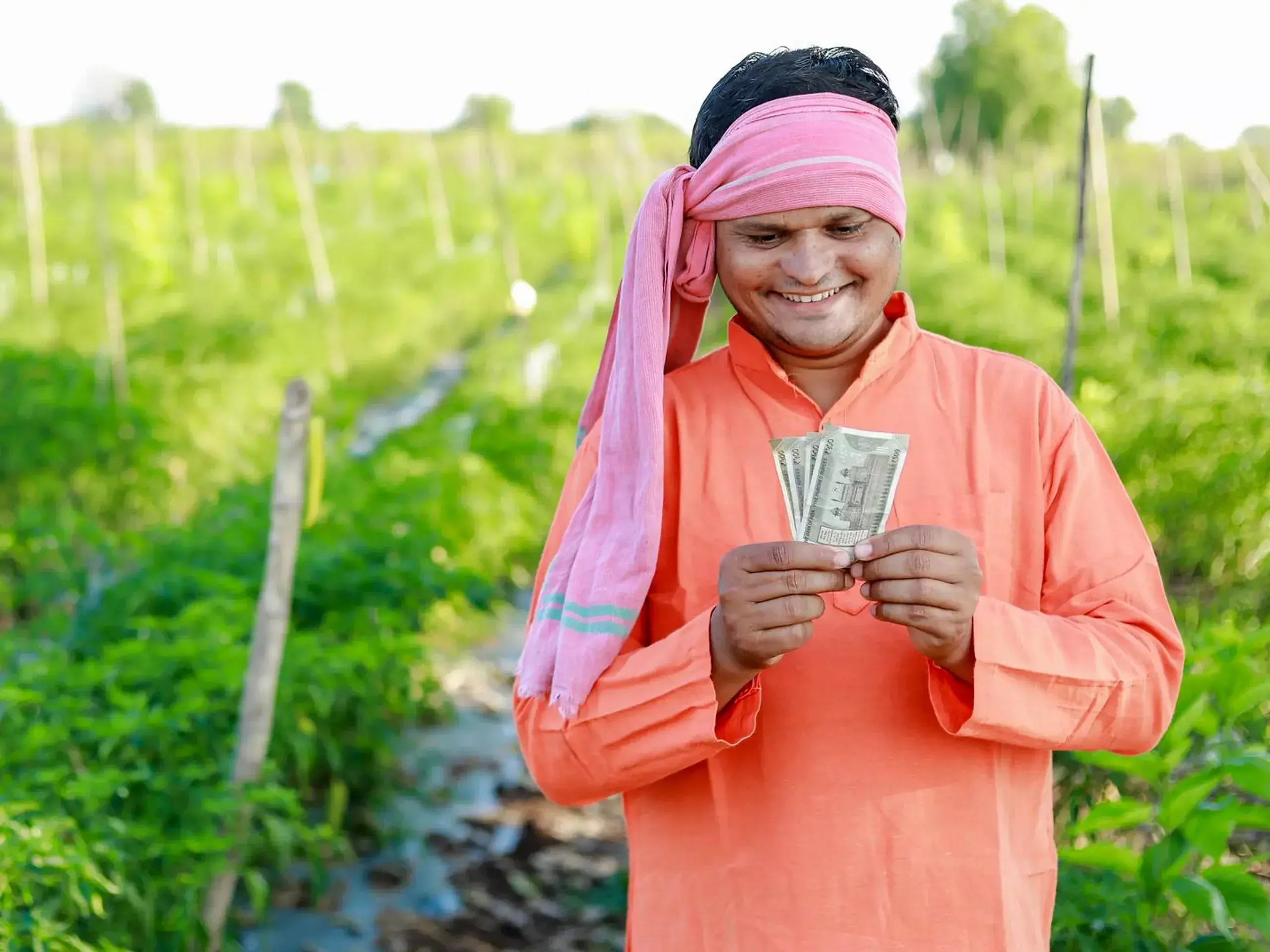 huge schemes were prepared for the welfare of farmers