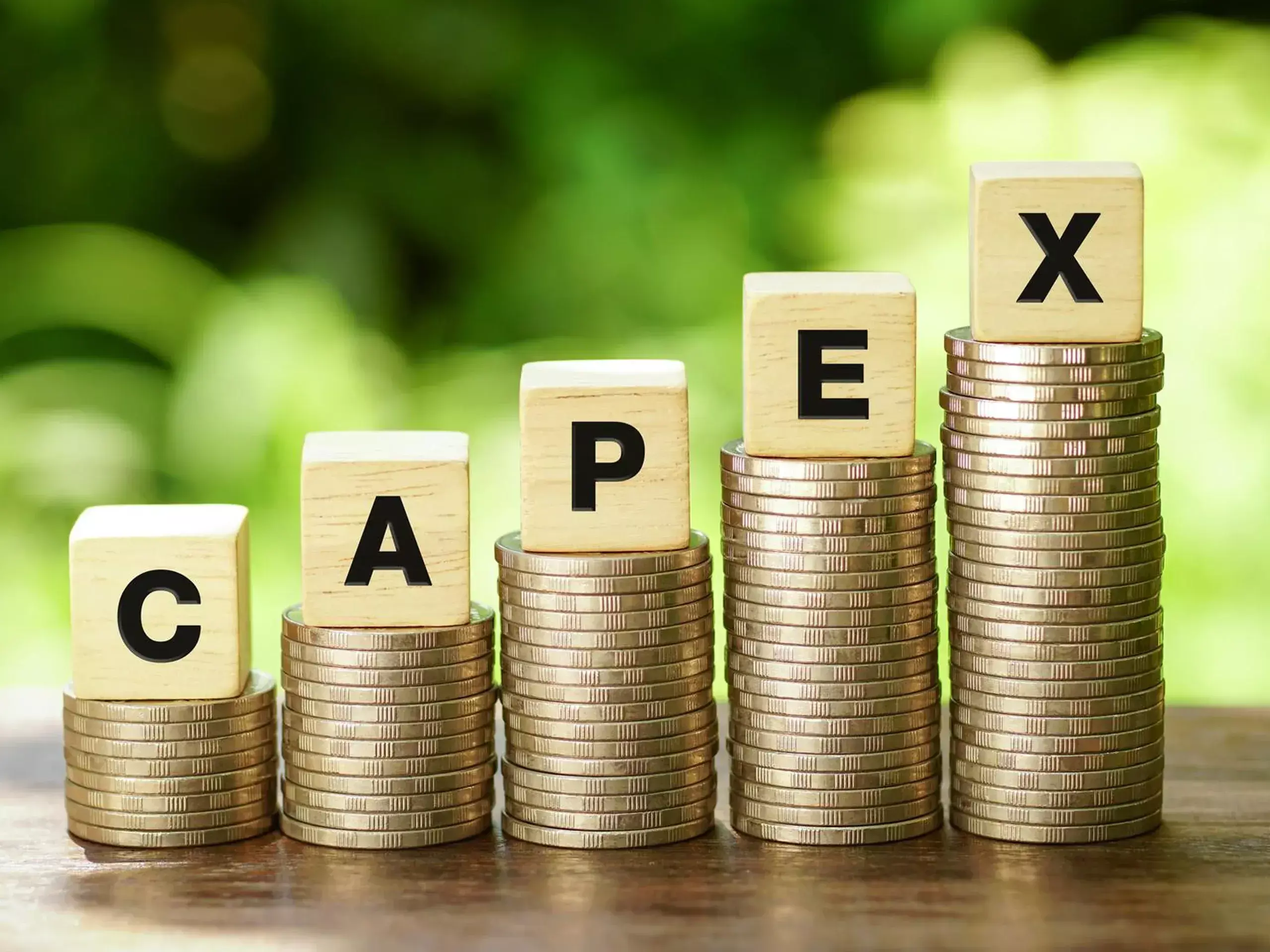 government may lay special emphasis on capital expenditure