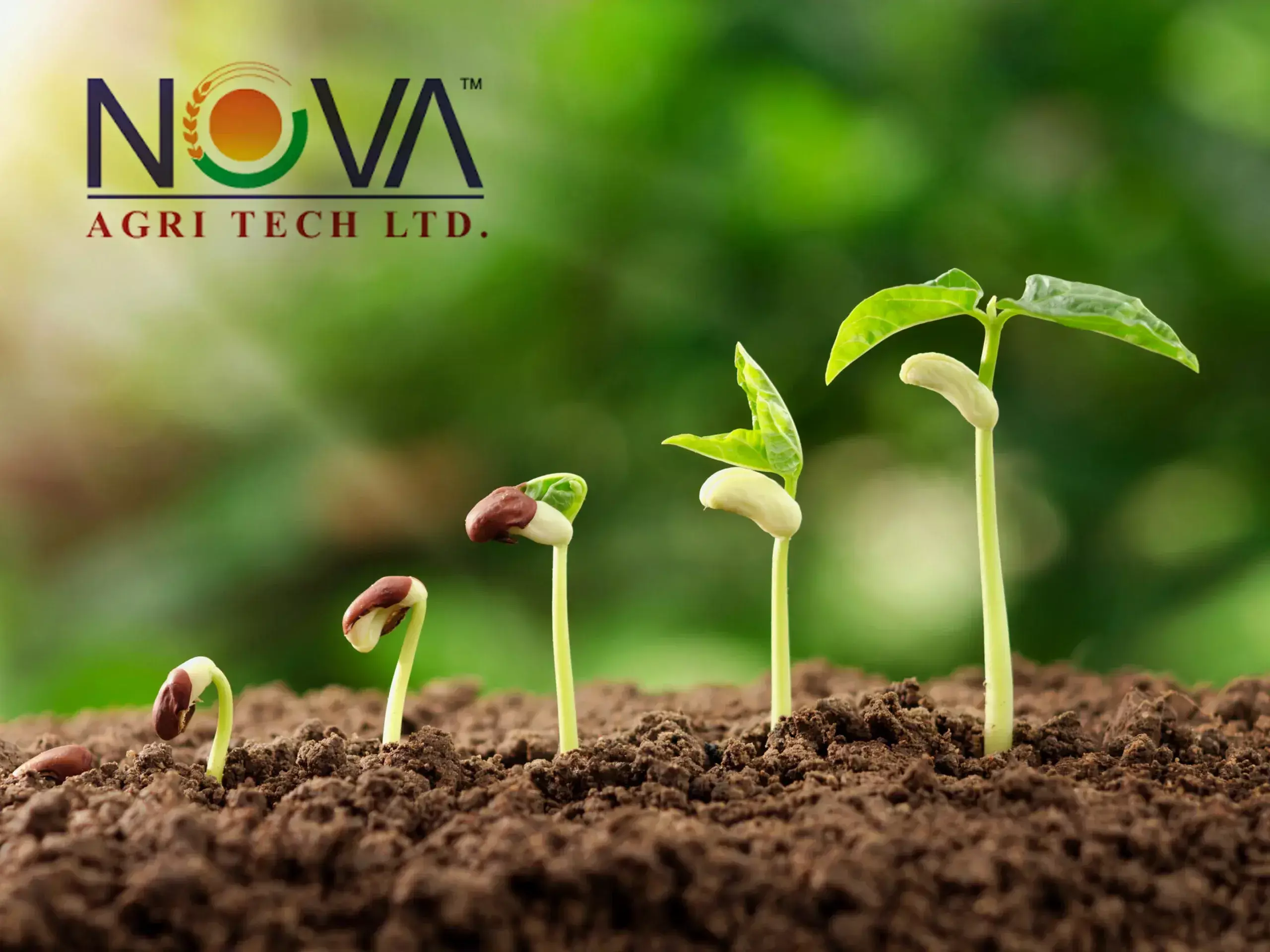nova agritech ipo on january 23, 144 crore target nova agritech ipo on january 23, 144 crore target