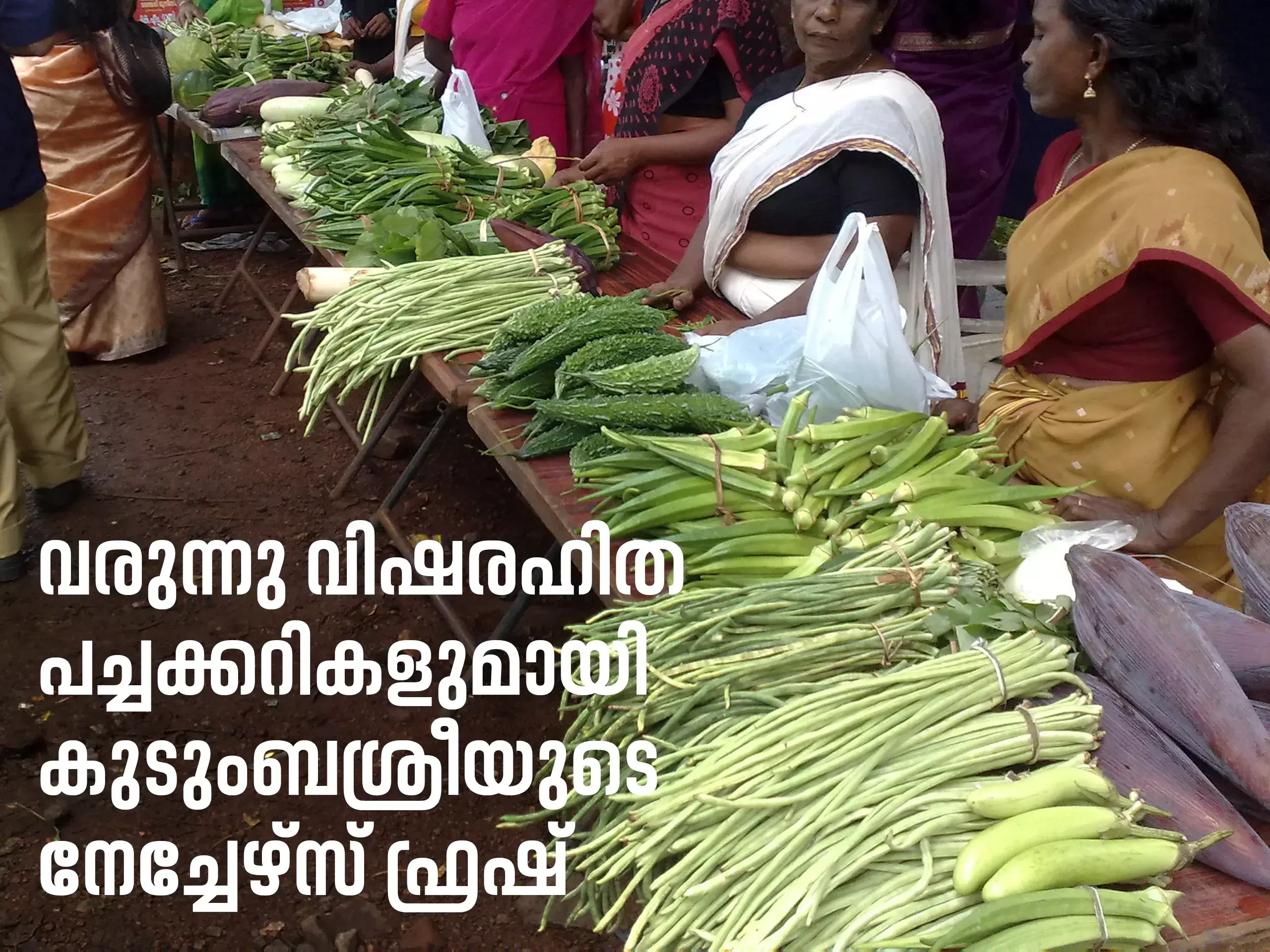 comes kudumbashrees natures fresh with non-toxic vegetables