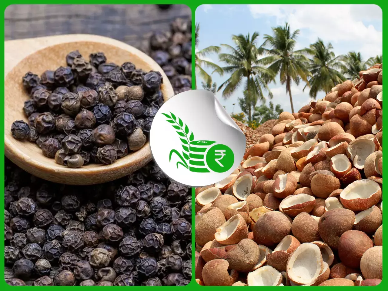 വിലയിടിഞ്ഞ് കുരുമുളക്; കൊപ്ര വില നേട്ടത്തില്‍