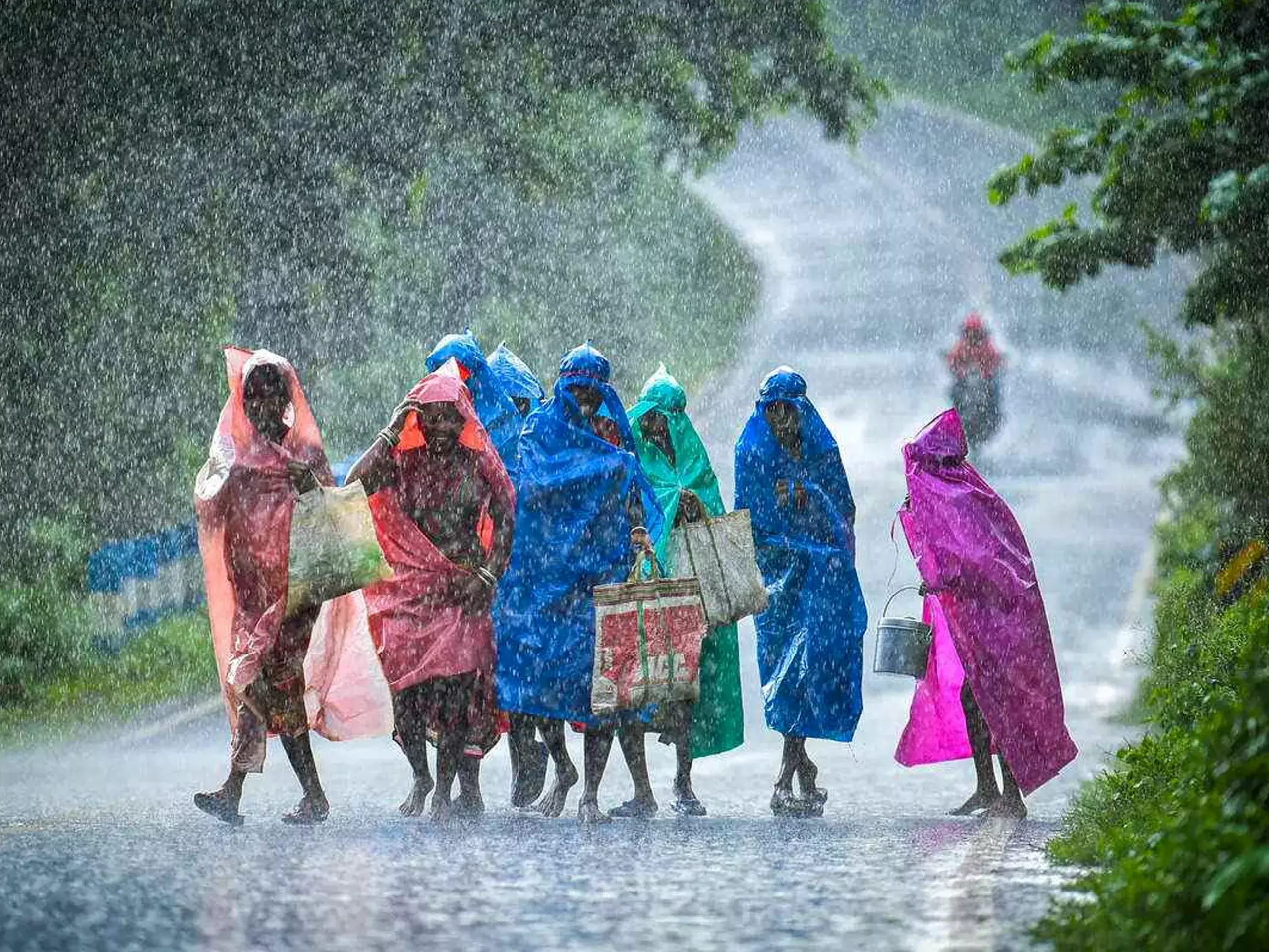 imd says that el nino will not affect this years monsoon