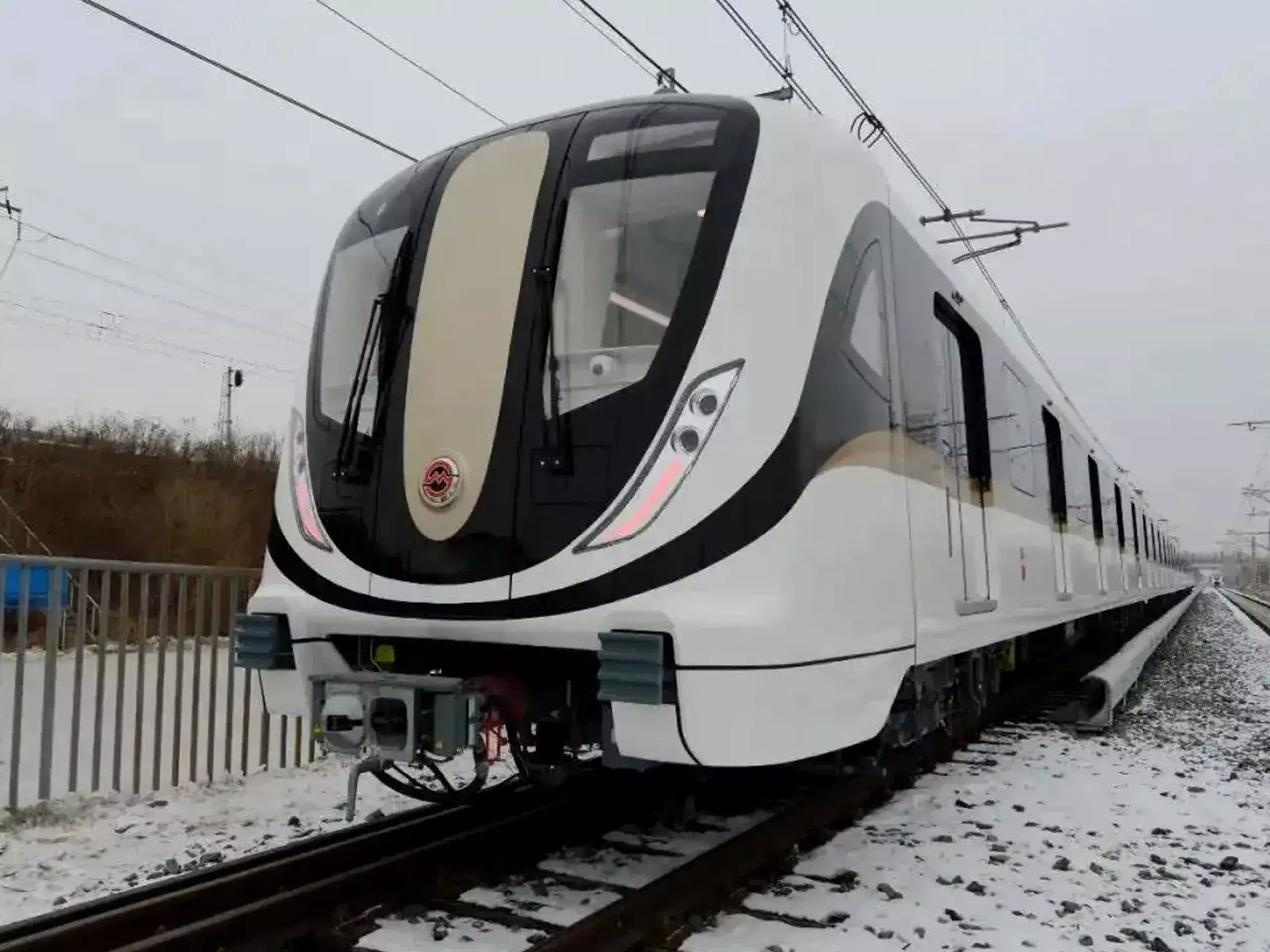 bengaluru metros first driverless trains coaches will arrive from china