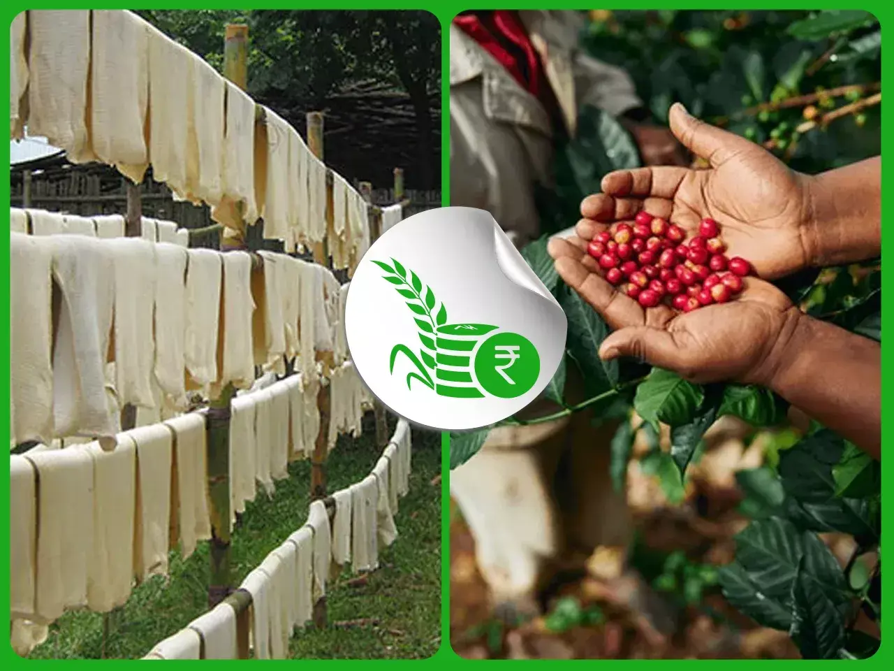 commodities market rate 25 01 24