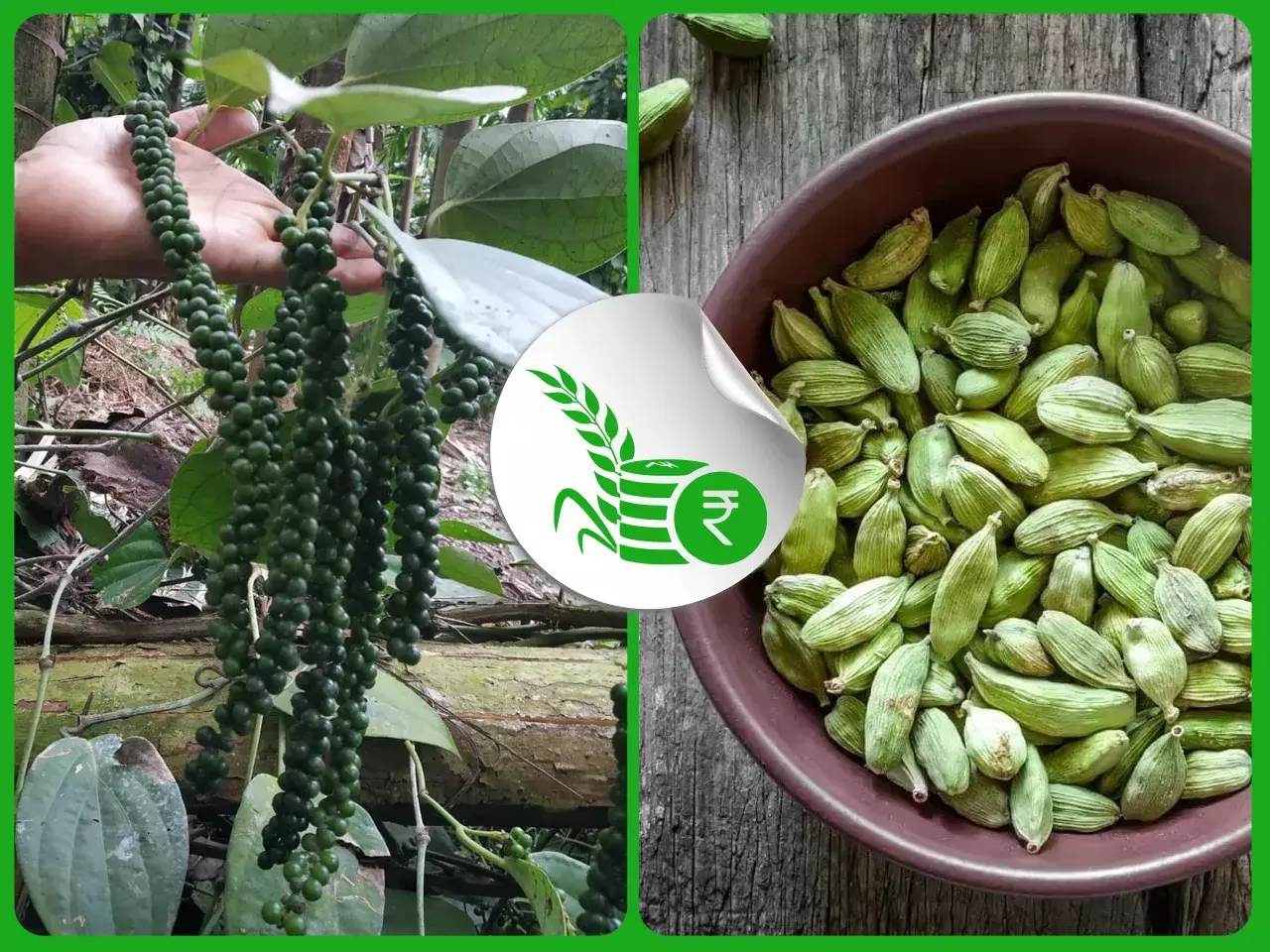 commodities market rate 31 01 24