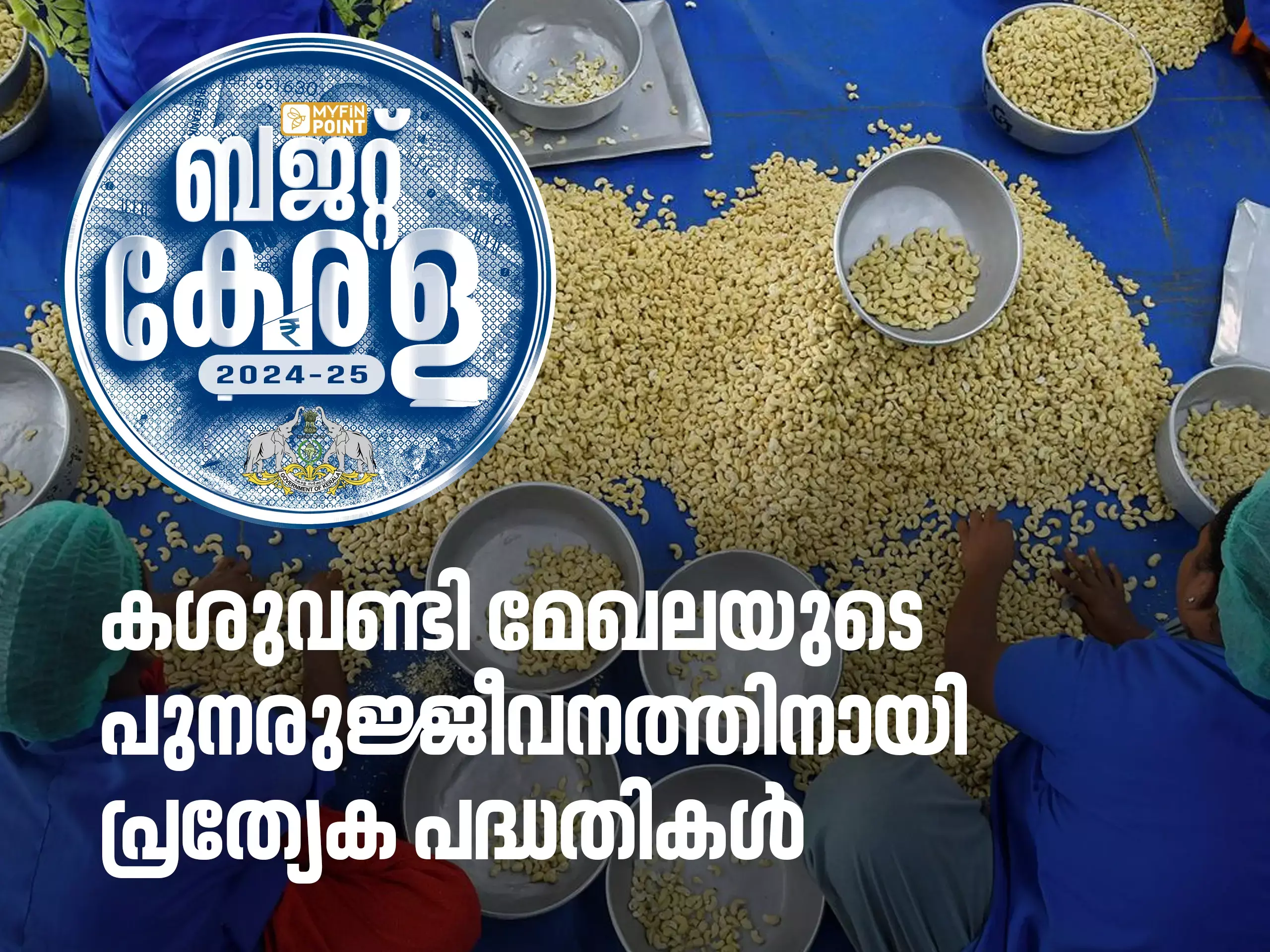 കശുവണ്ടി മേഖലയുടെ പുനരുജ്ജീവനത്തിനായി പ്രത്യേക പദ്ധതികള്‍