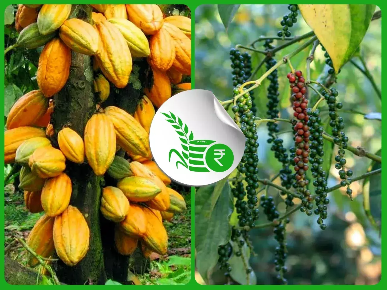 commodities market rate 05 02 24