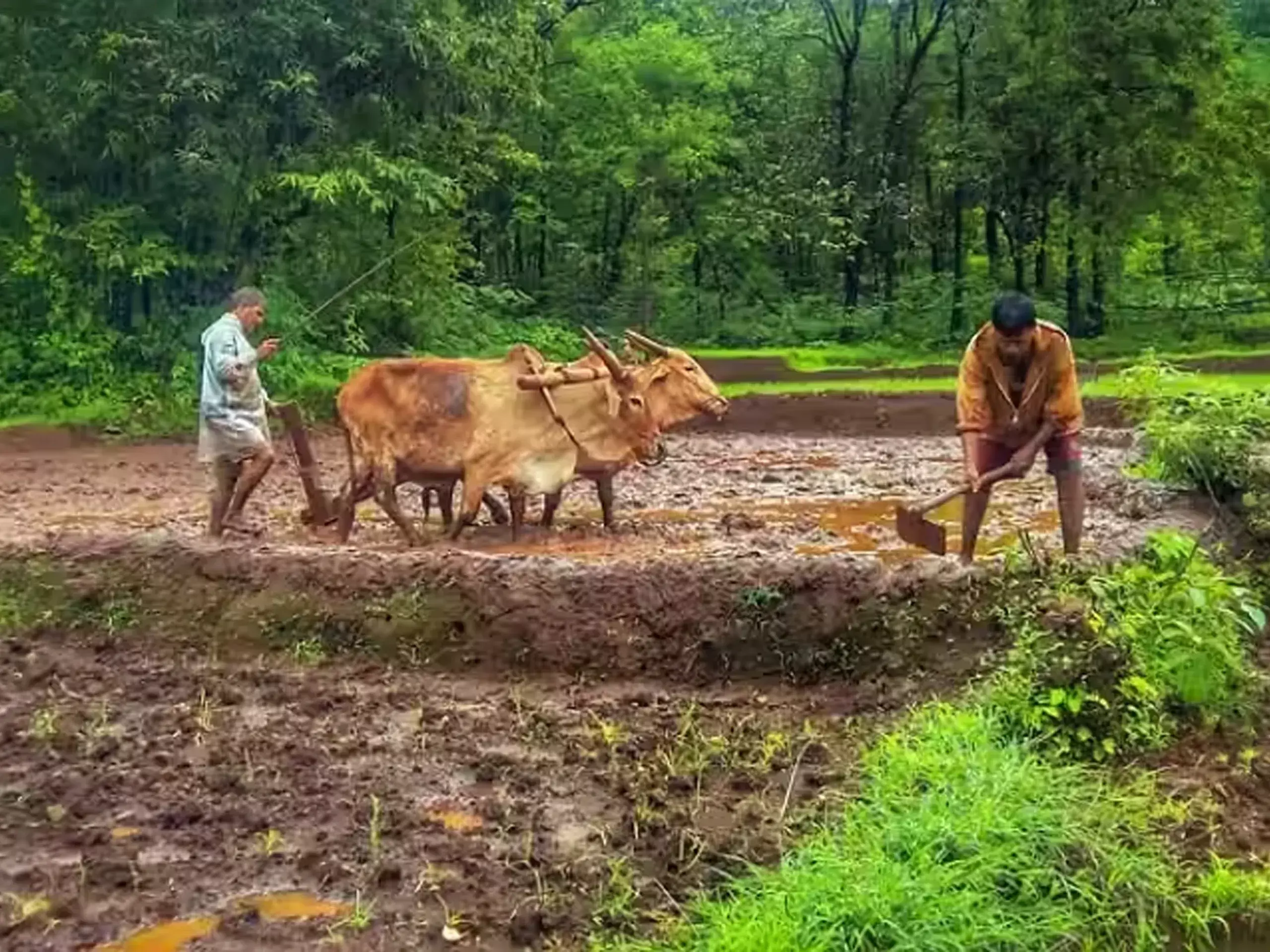 pm-kisan scheme, government will not raise the amount