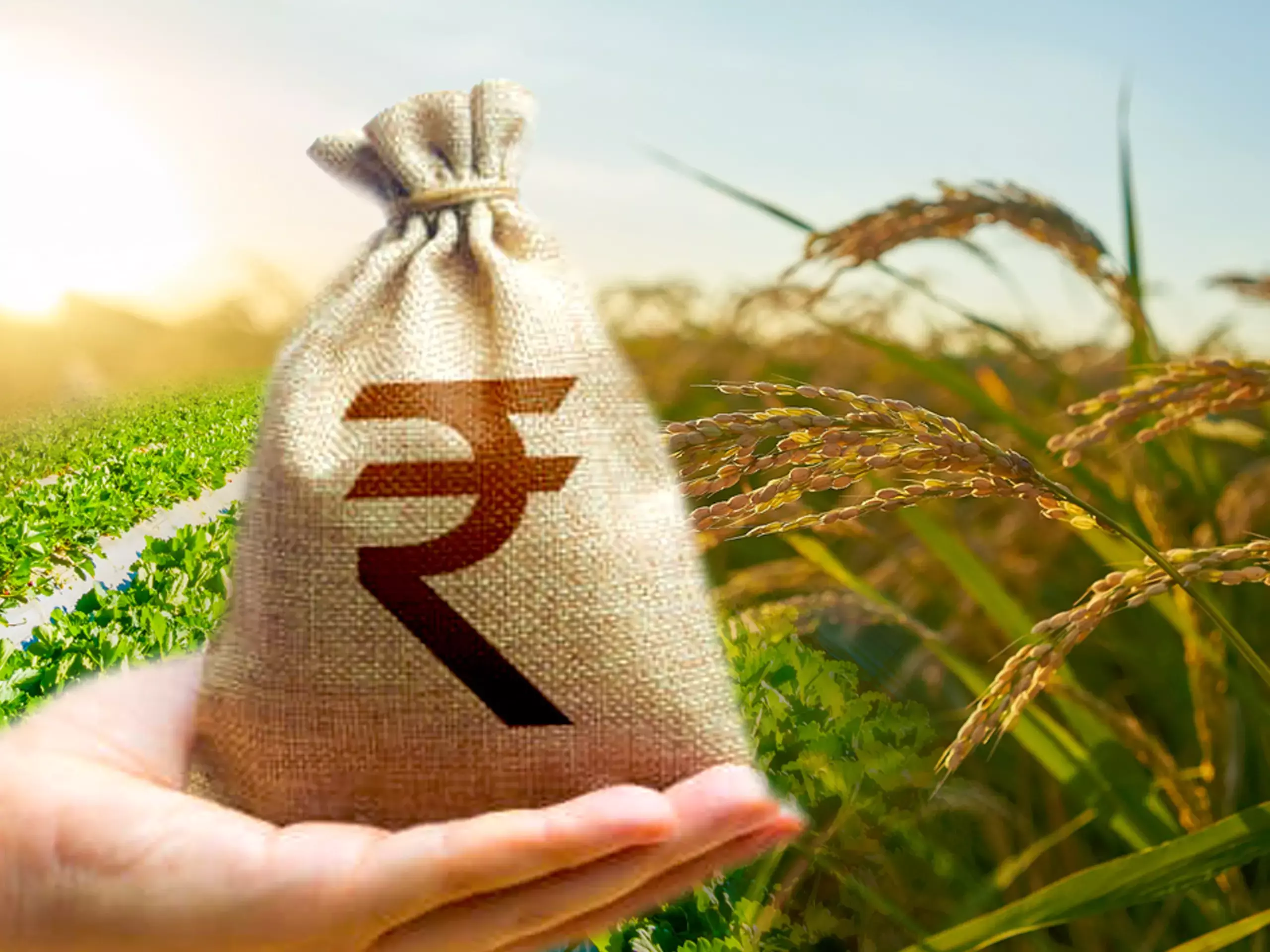 Support price, the government said that the committee meeting 37 times