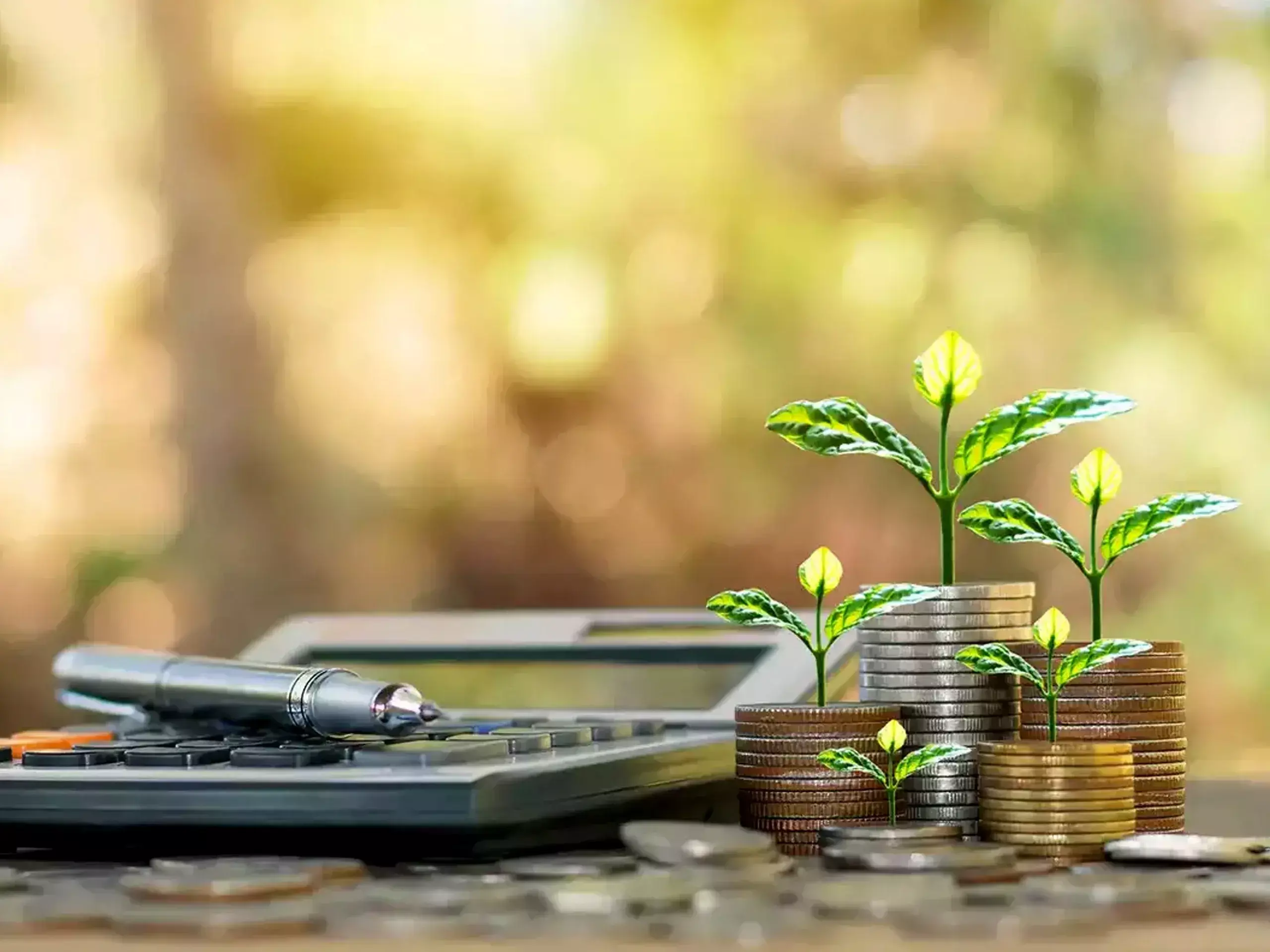 large-cap mutual funds earn rs 1,287 crore in profit bookings in january